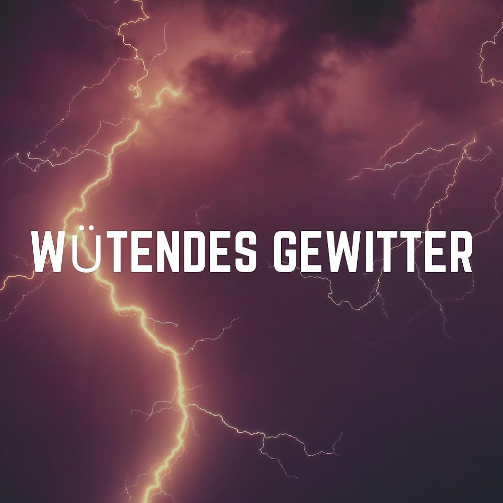 Постер альбома Wütendes Gewitter