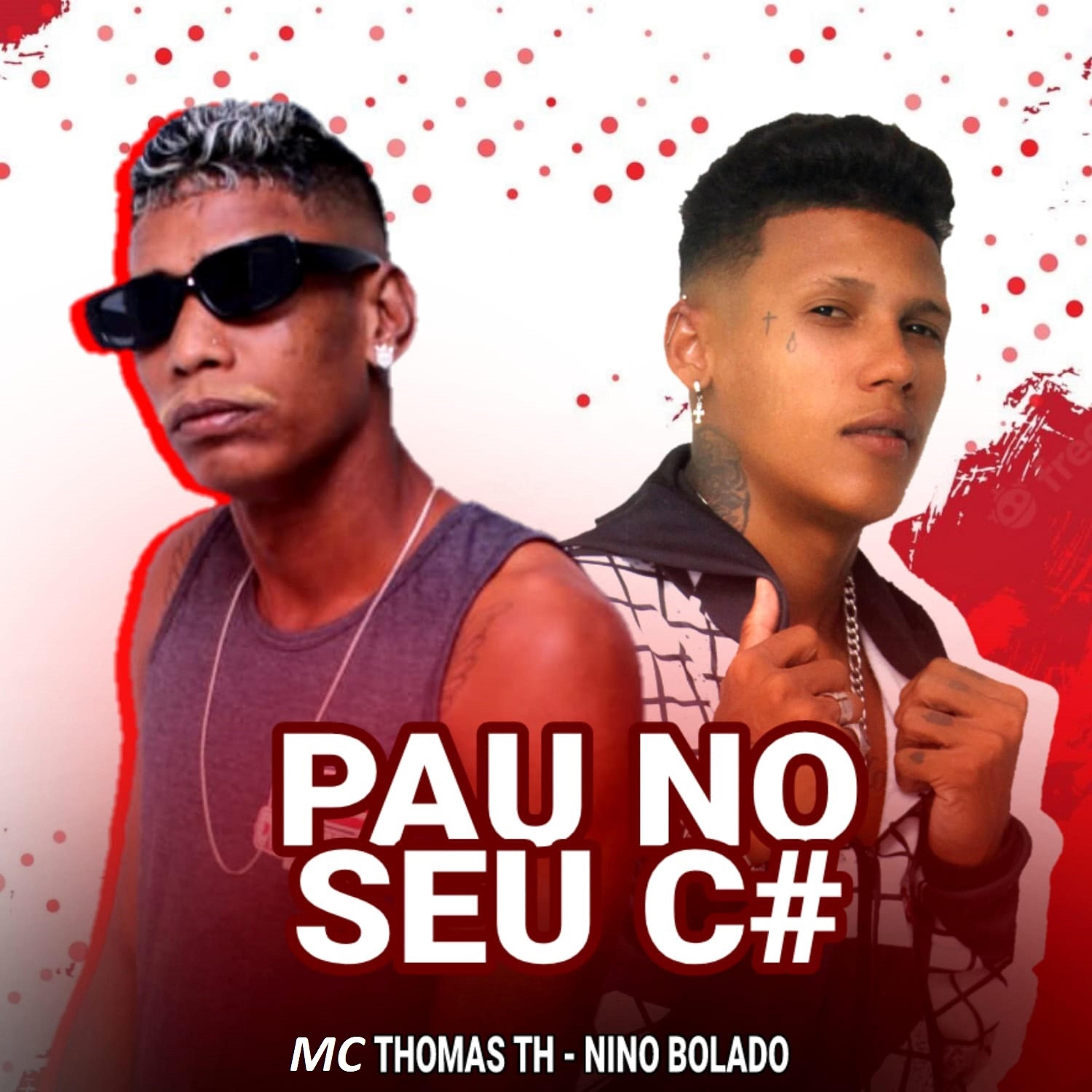 Постер альбома Pau no Seu C#