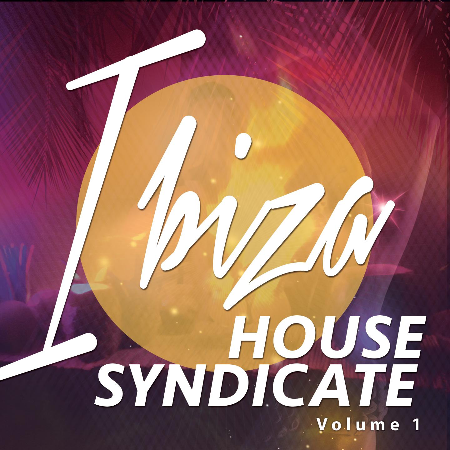 Постер альбома Ibiza House Syndicate, Vol. 1