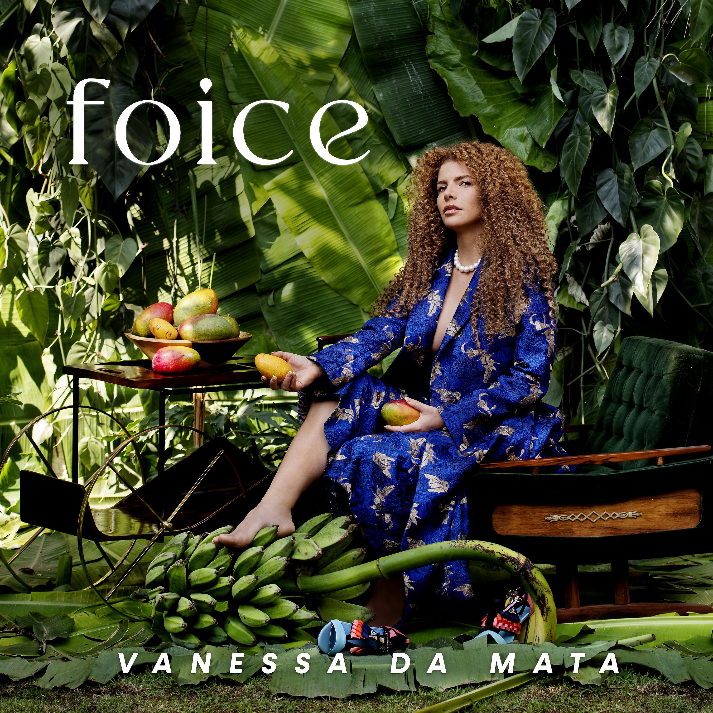 Постер альбома Foice
