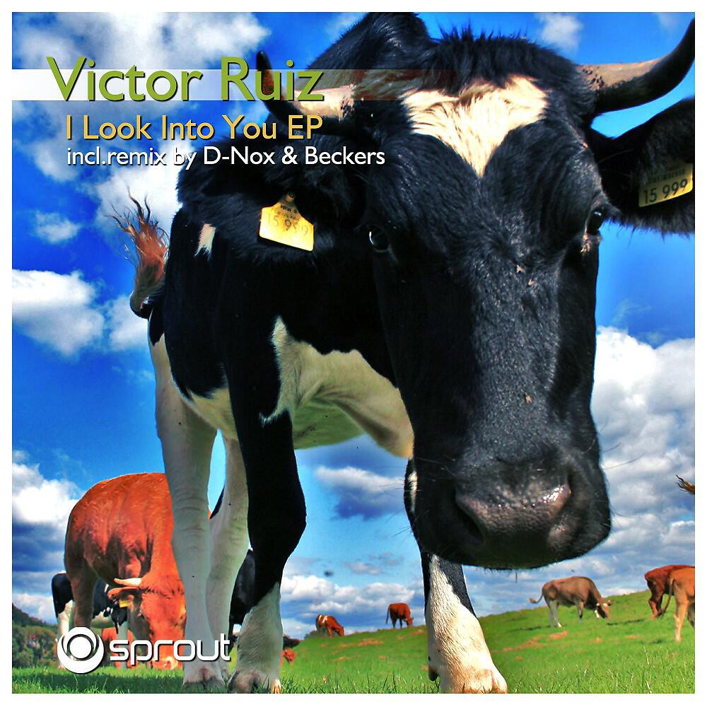Victor Ruiz - Visualize
