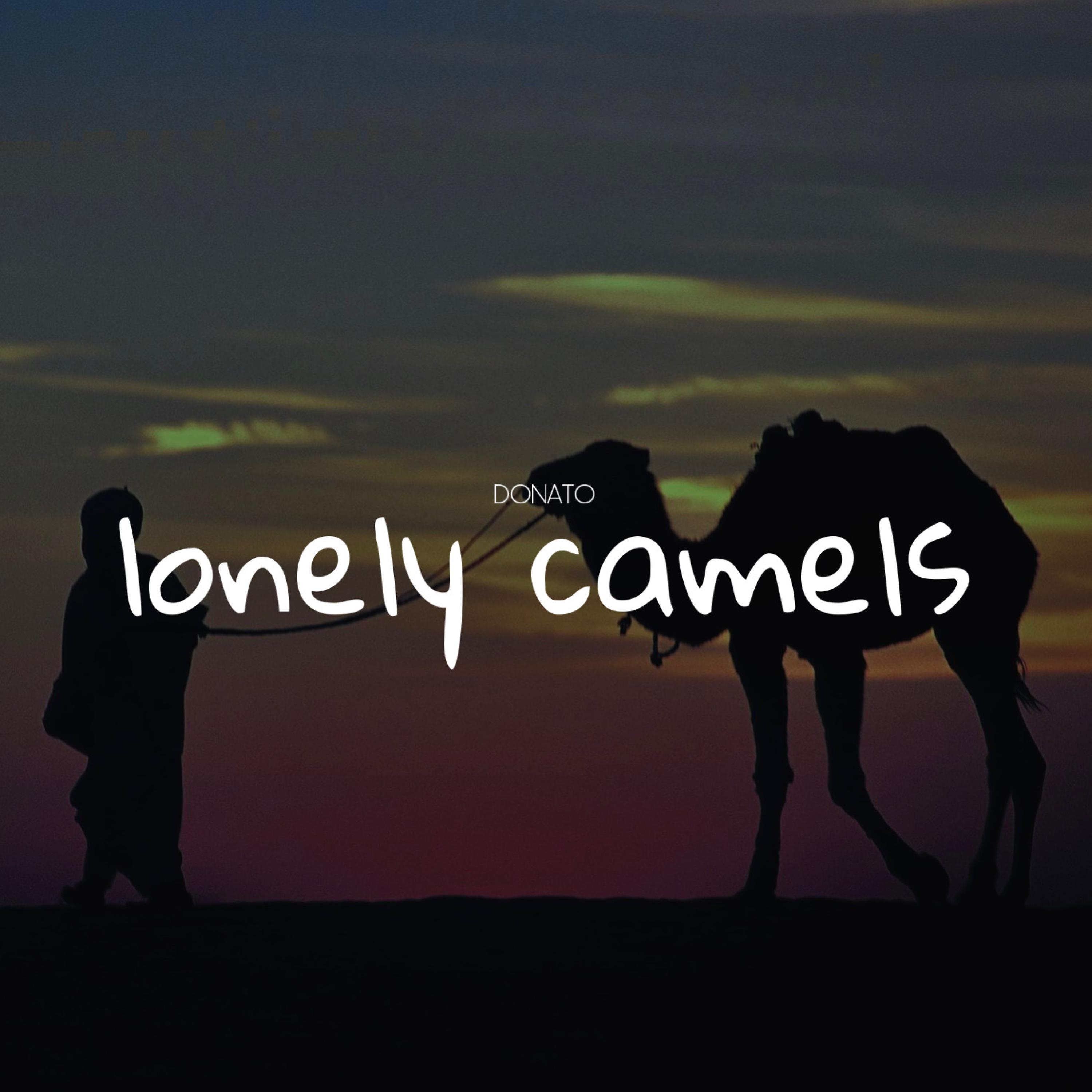 Постер альбома Lonely Camels