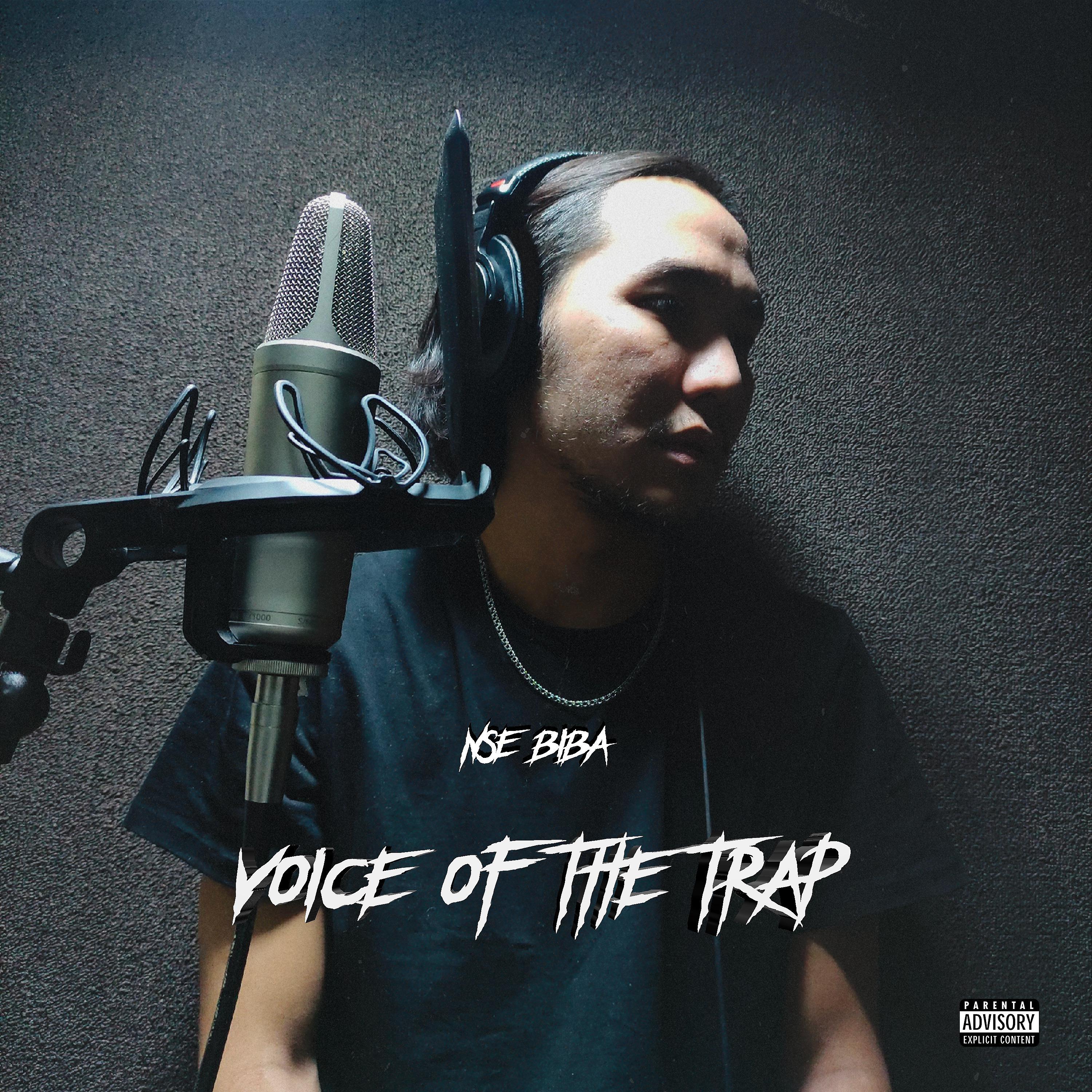 Постер альбома Voice off the Trap