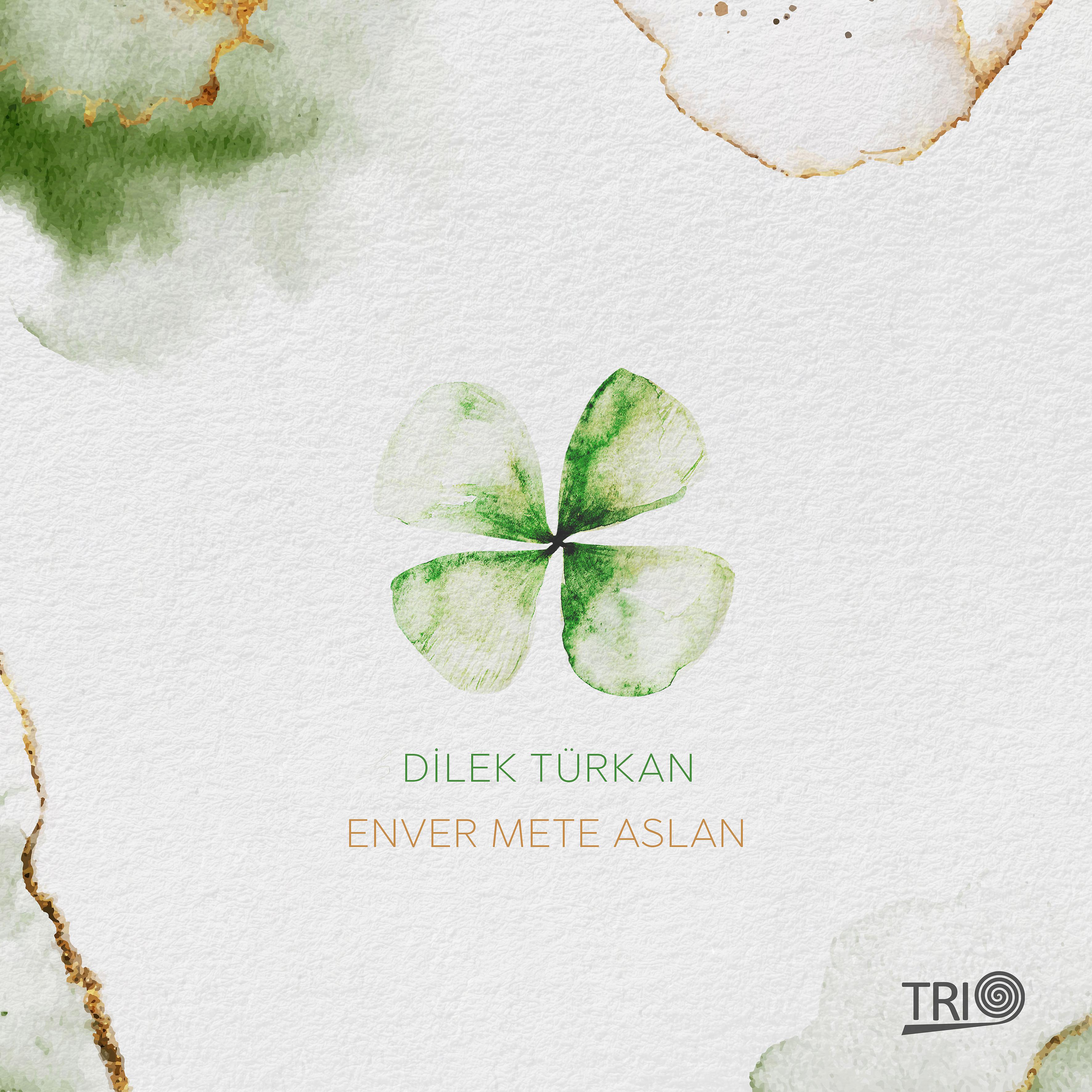Постер альбома Evlerinin Önü Yonca
