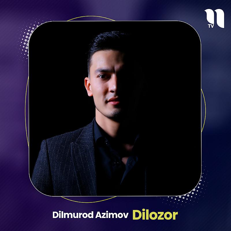 Постер альбома Dilozor