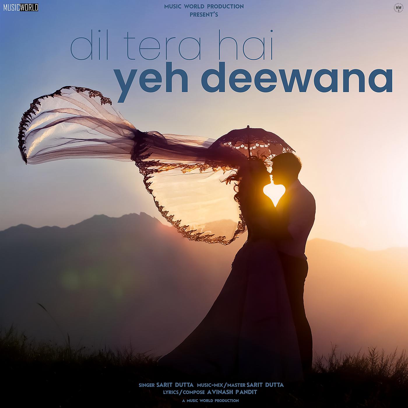 Постер альбома Dil Tera Hai Yeh Deewana