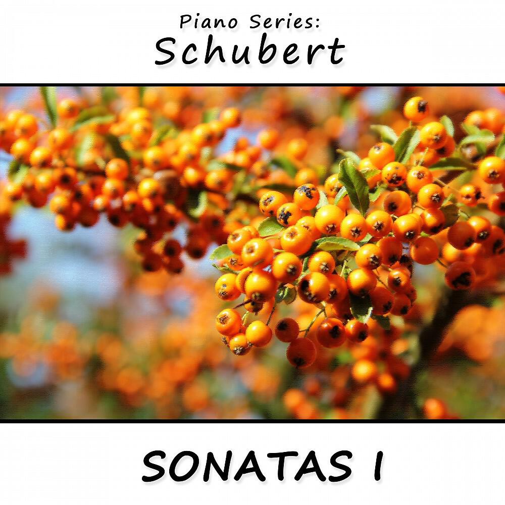 James Wright Webber - Sonata in D-Dur, D850, Op. 53: I Allegro vivace