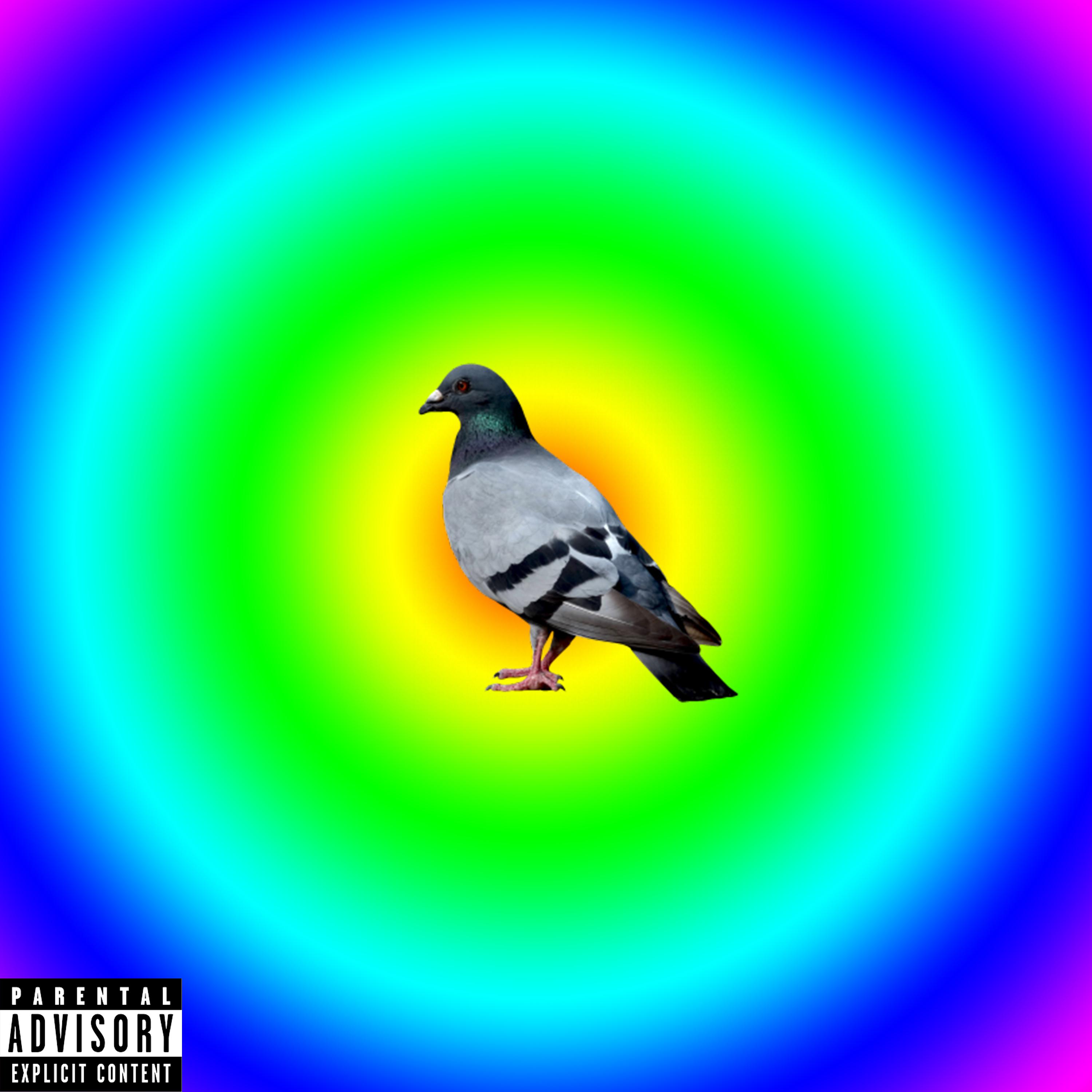 Постер альбома Last Bird
