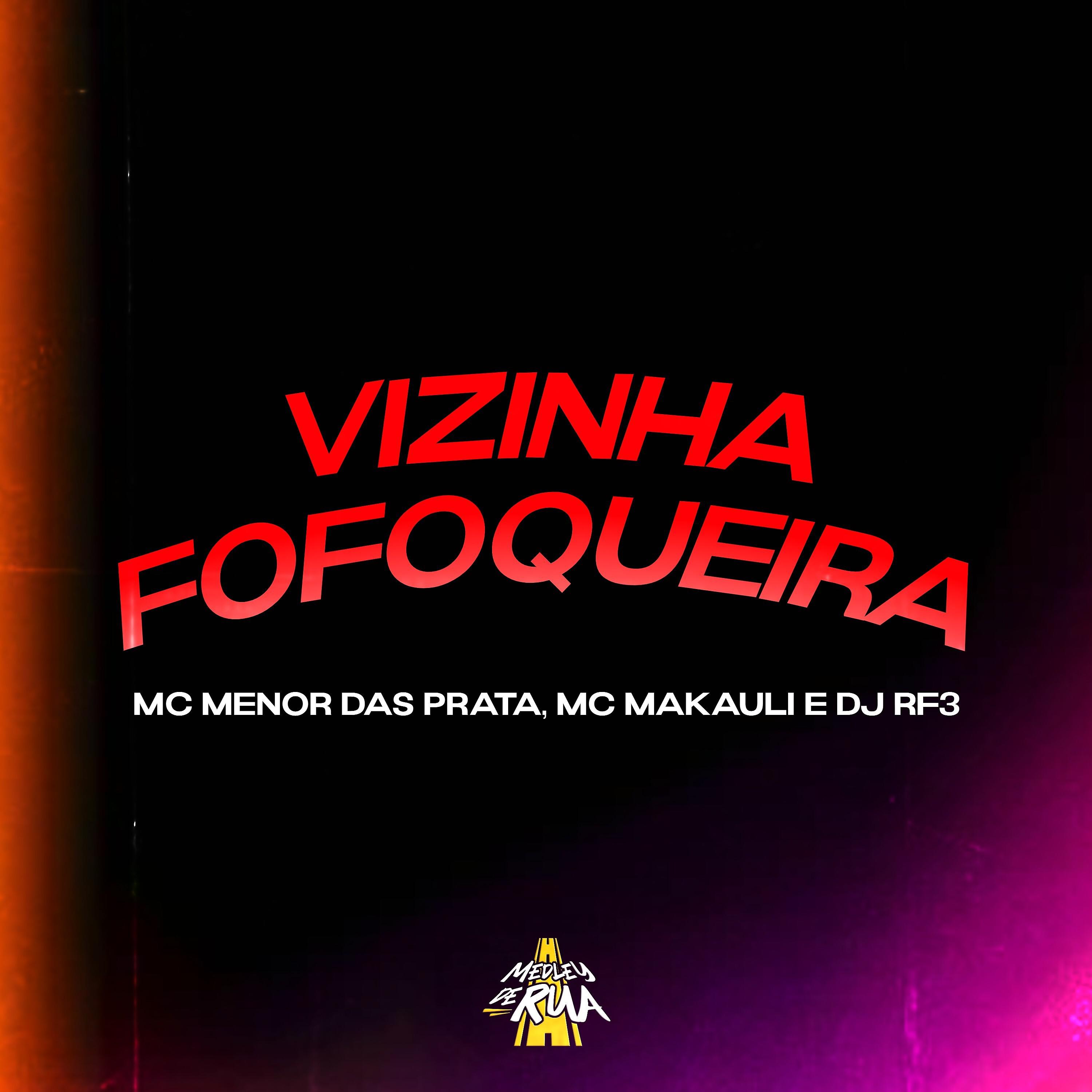 Постер альбома Vizinha Fofoqueira
