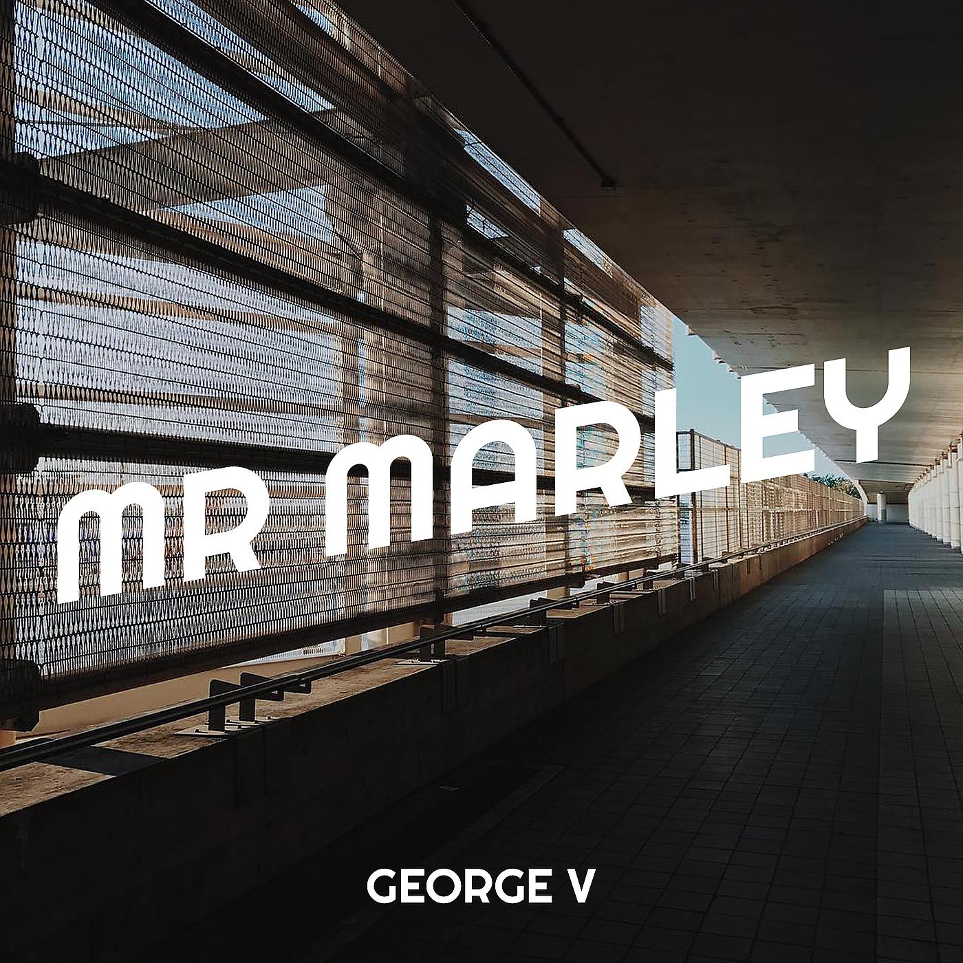Постер альбома Mr Marley