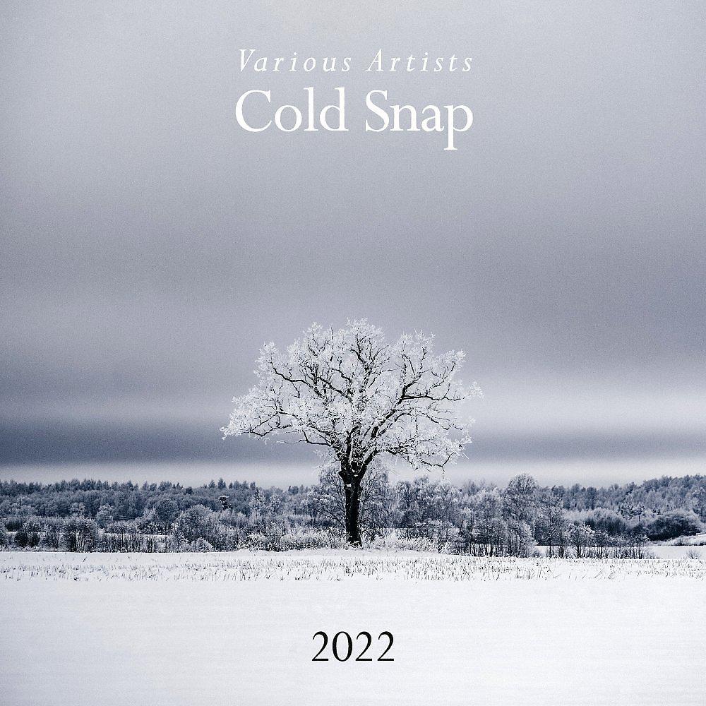 Постер альбома Cold Snap 2022