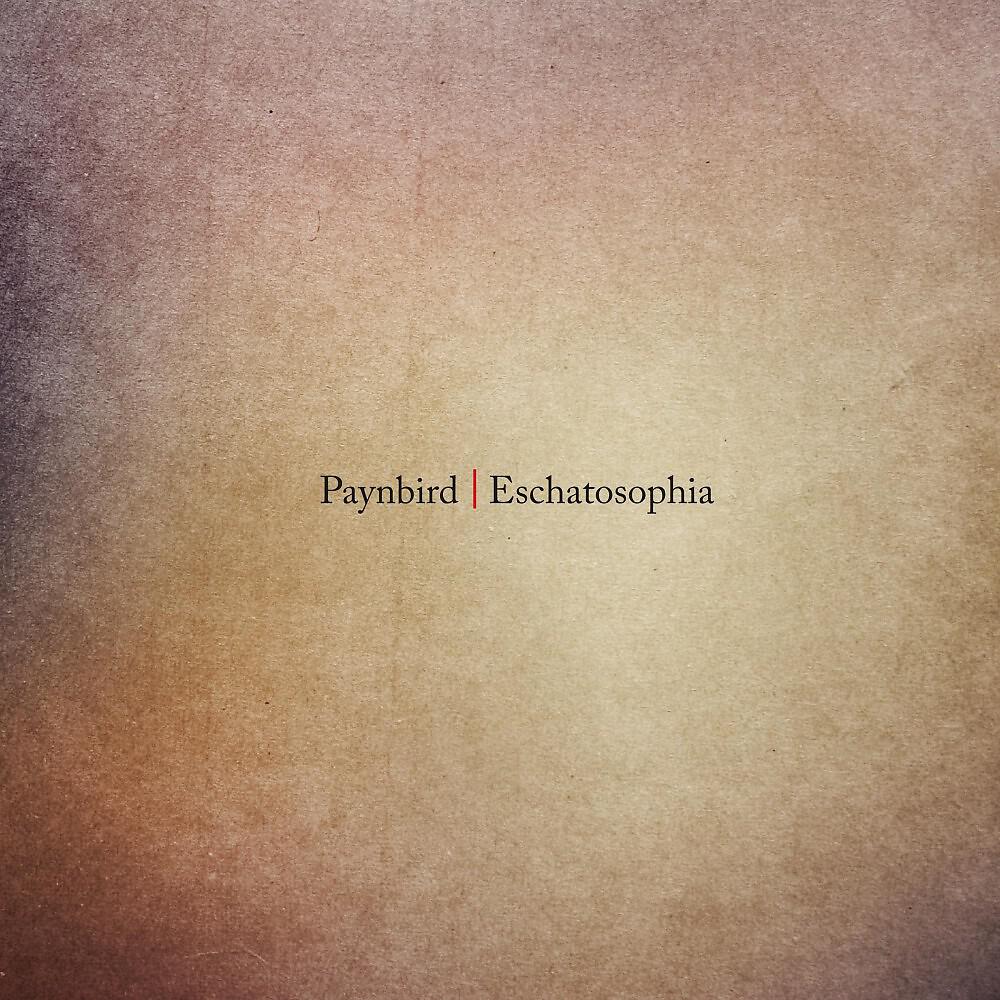 Paynbird - Intromezzo / A Glimpse of Lilli