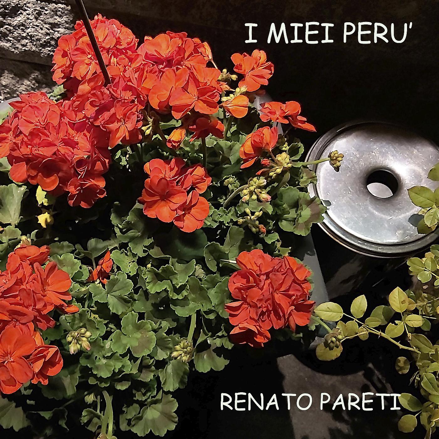 Постер альбома I miei Perù