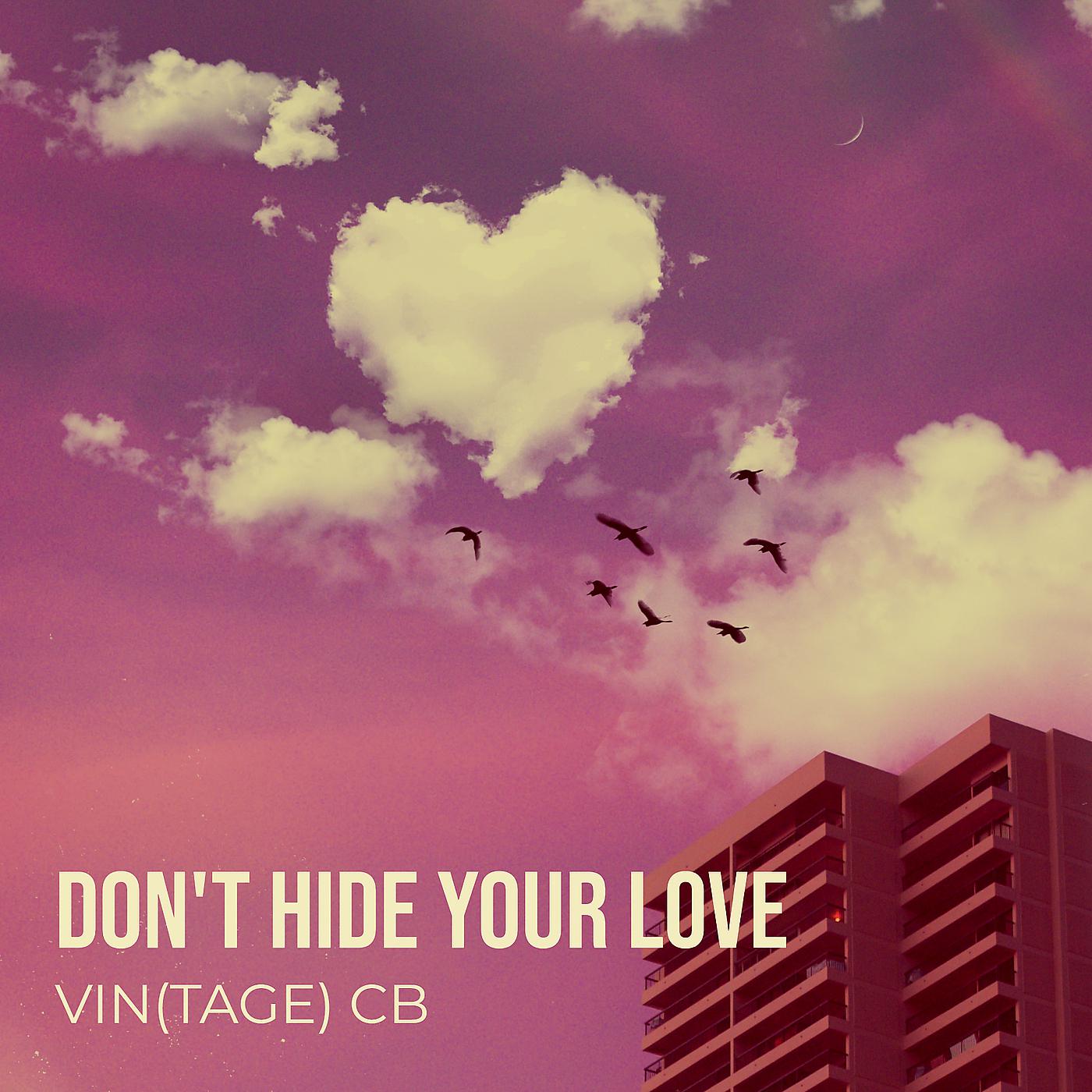 Постер альбома Don't Hide Your Love