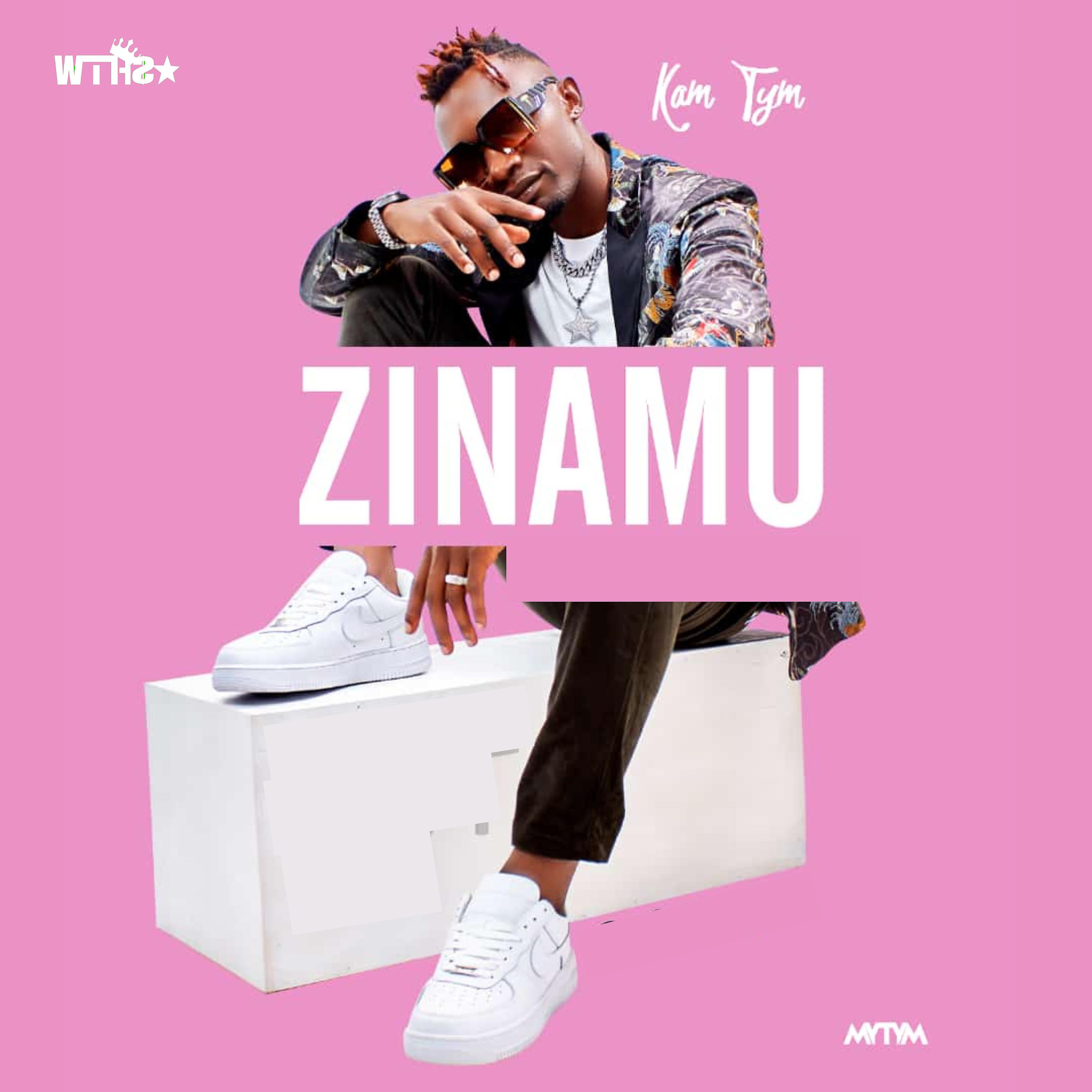 Постер альбома Zinamu