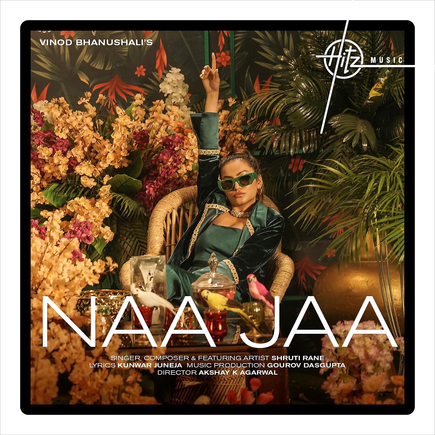 Постер альбома Naa Jaa