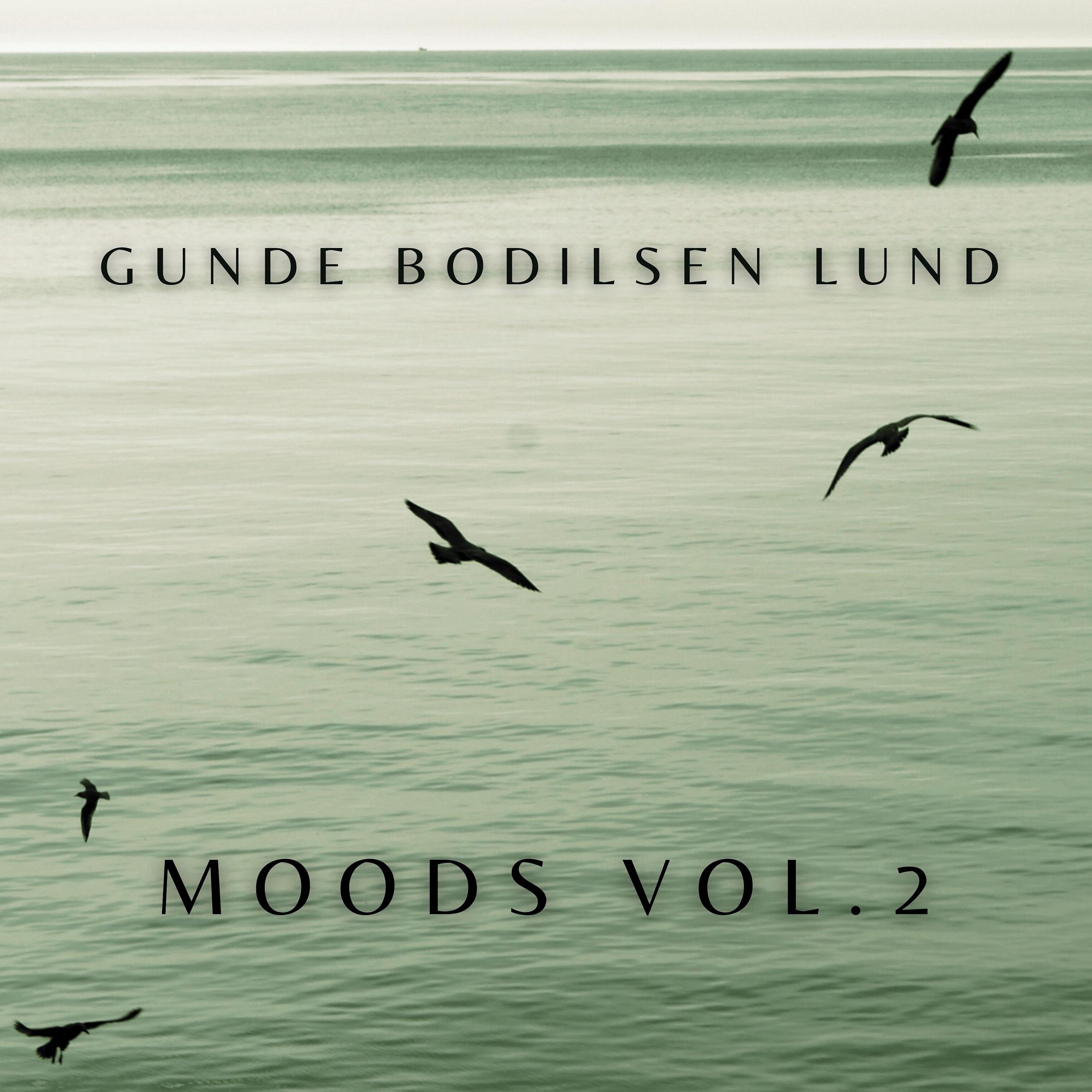 Постер альбома Moods, Vol. 2