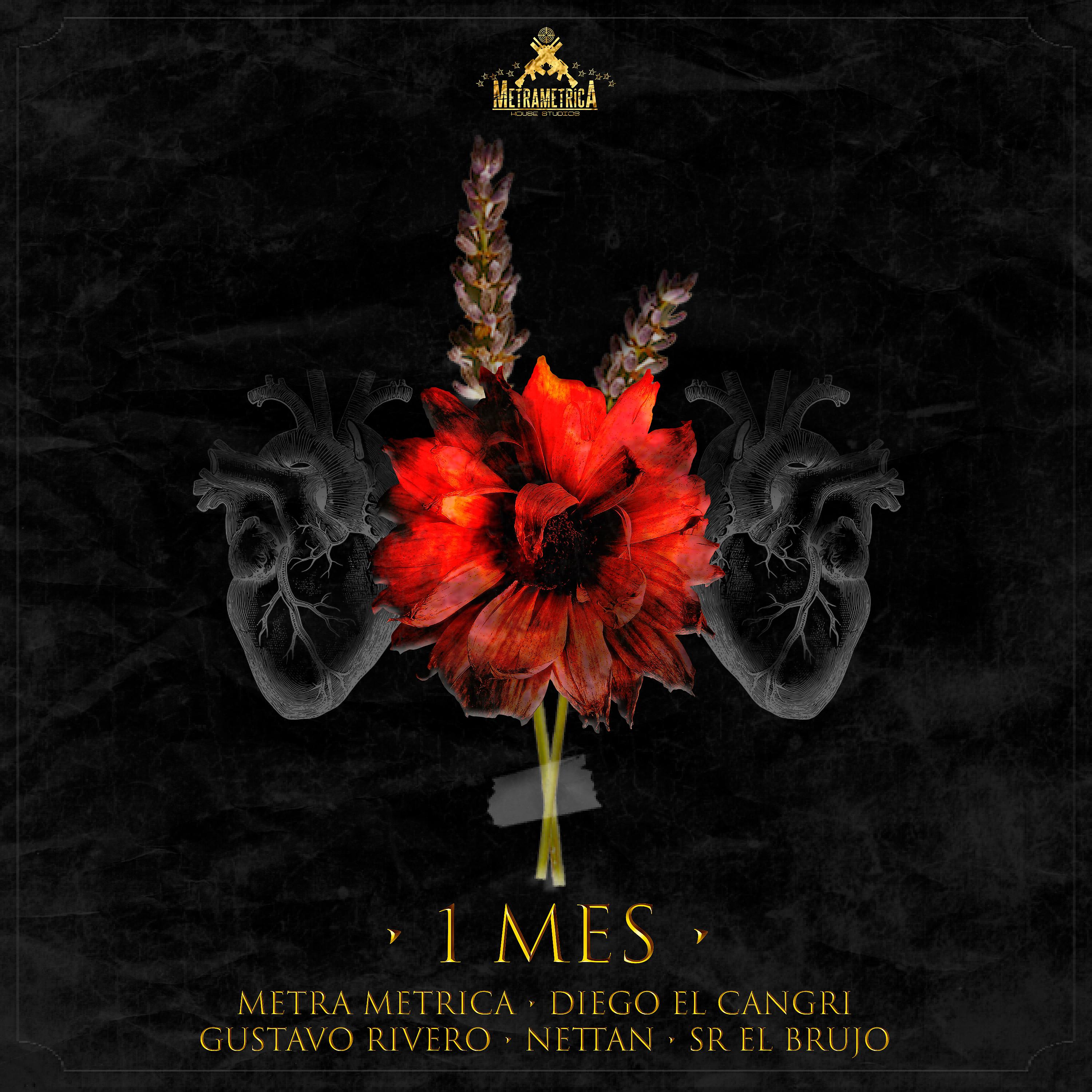 Постер альбома 1 Mes