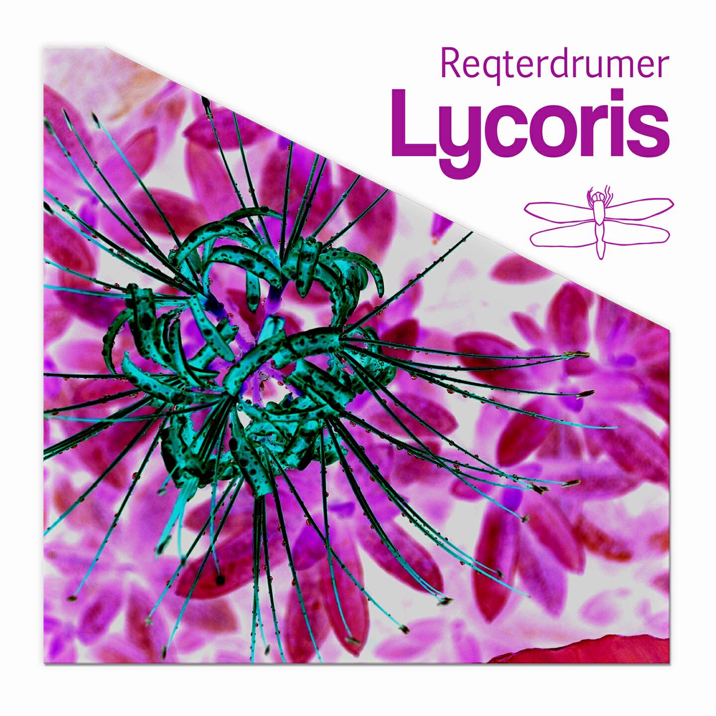 Reqterdrumer - Lycoris (DJ GrujA Broken Remix)