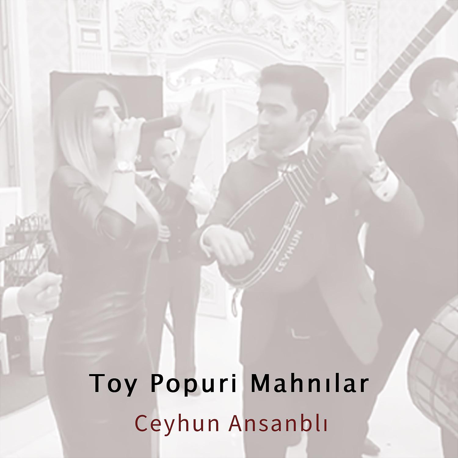 Постер альбома Toy Popuri Mahnılar