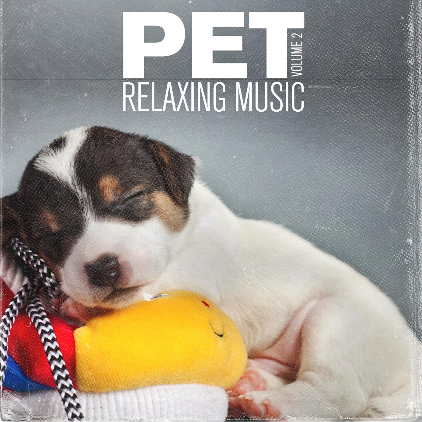Reflex Respect - 1H Pet Music Therapy (Five Pet Music World)