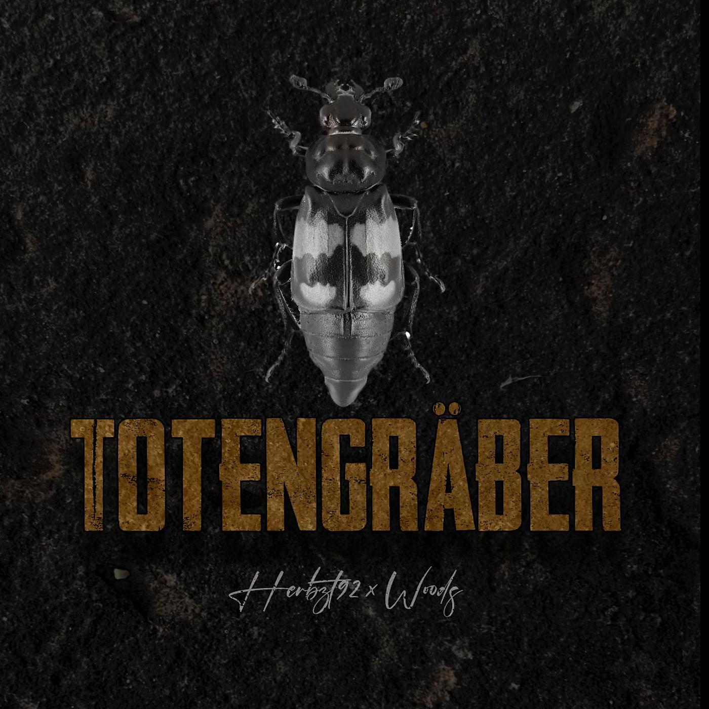 Постер альбома Totengräber