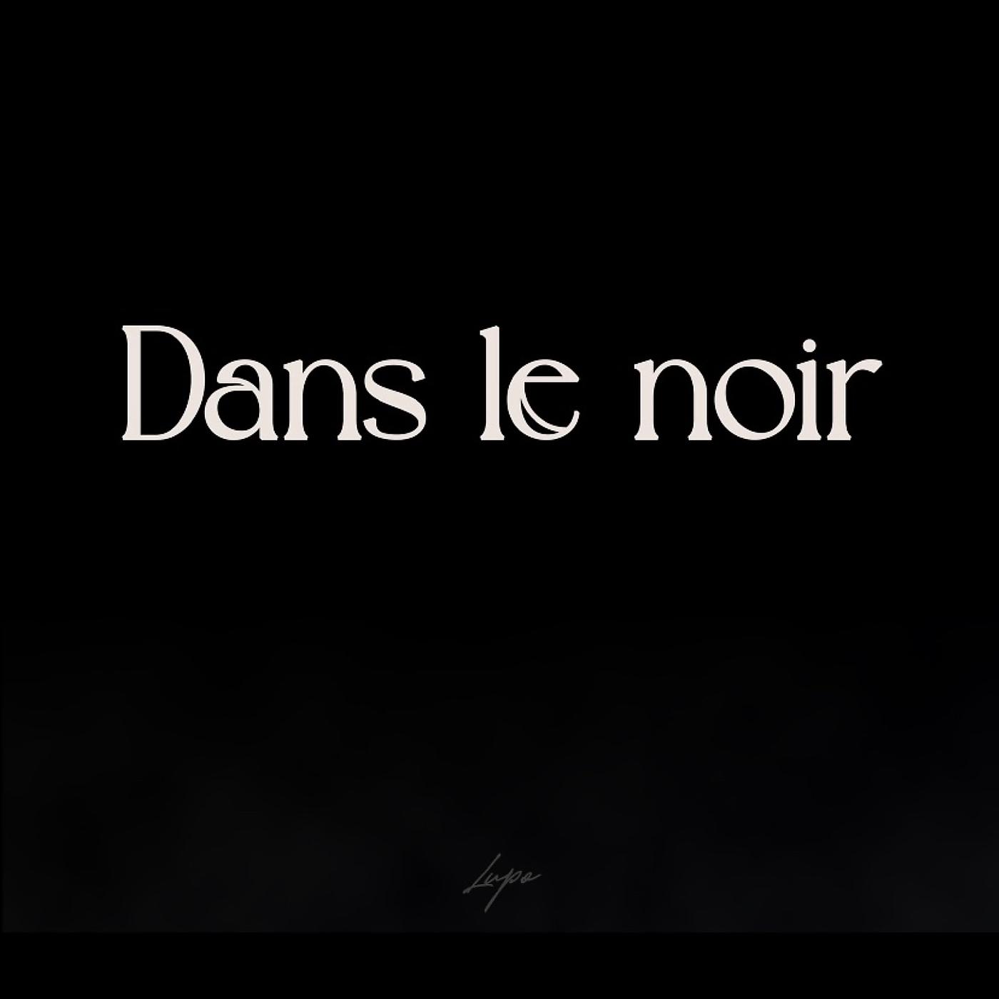 Постер альбома Dans Le Noir
