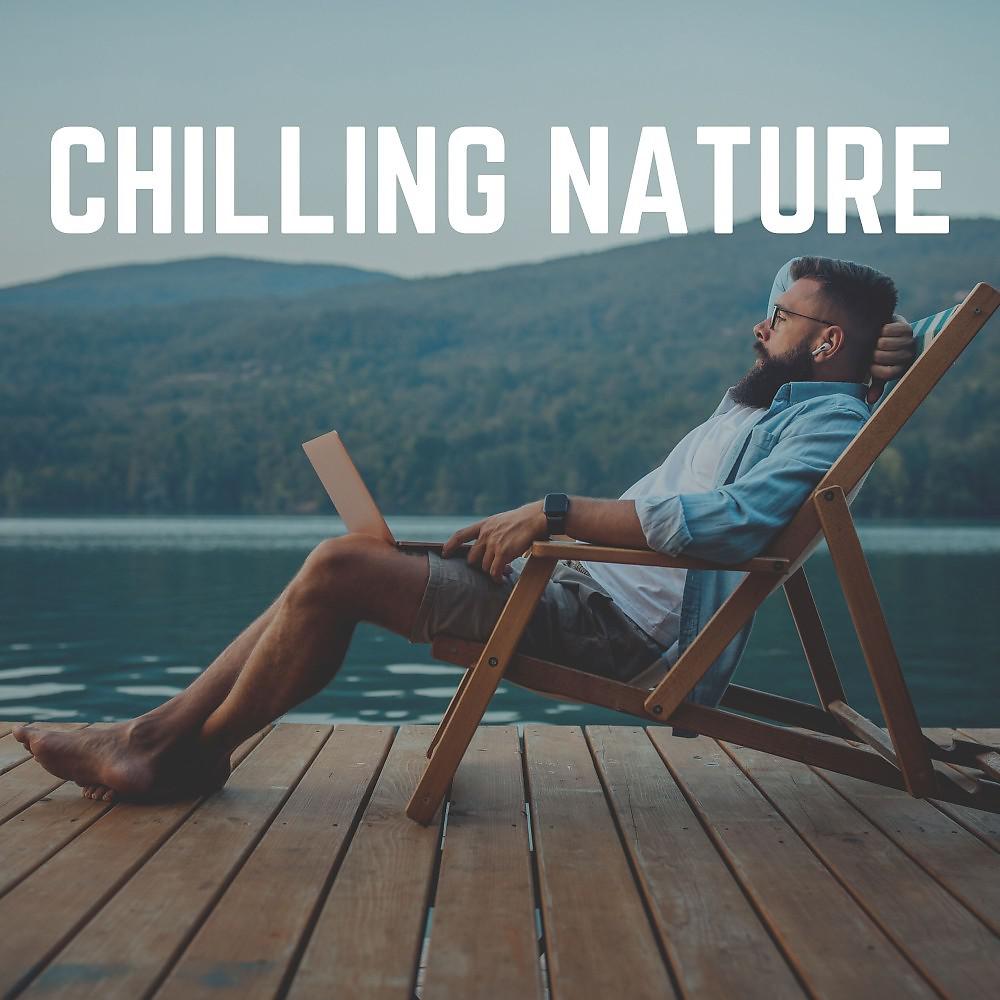 Постер альбома Chilling Nature