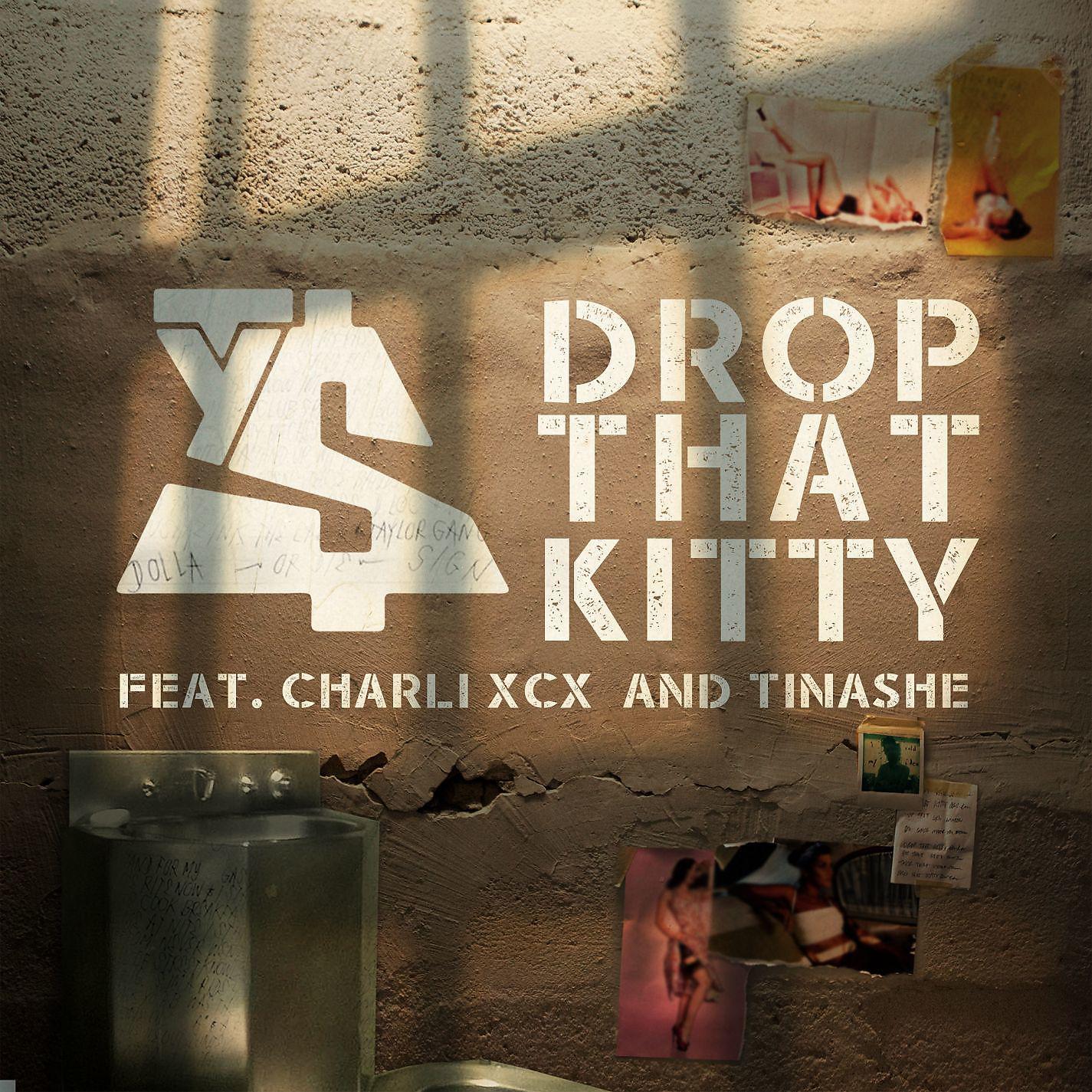 Постер альбома Drop That Kitty (feat. Charli XCX & Tinashe)