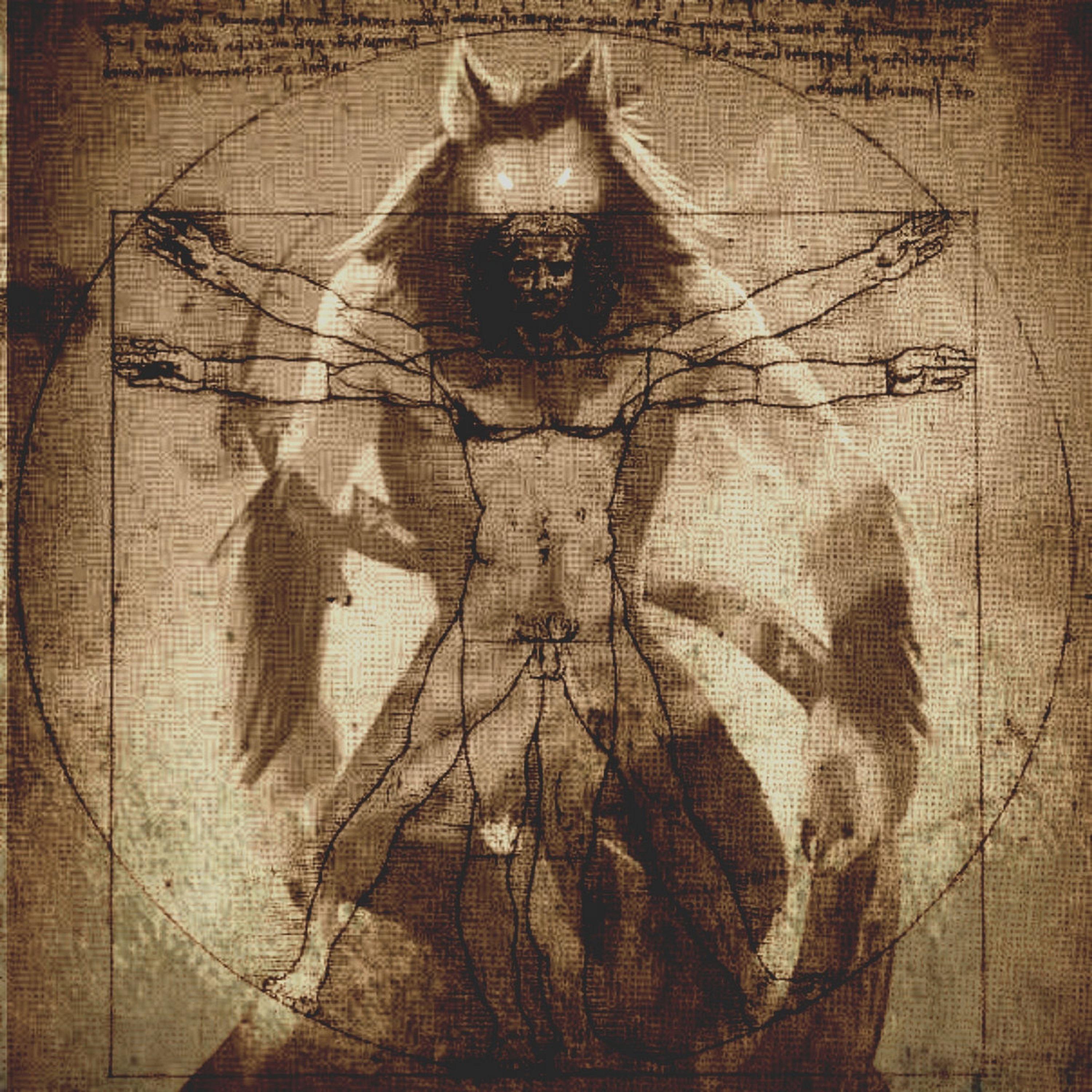 Постер альбома The Werewolf