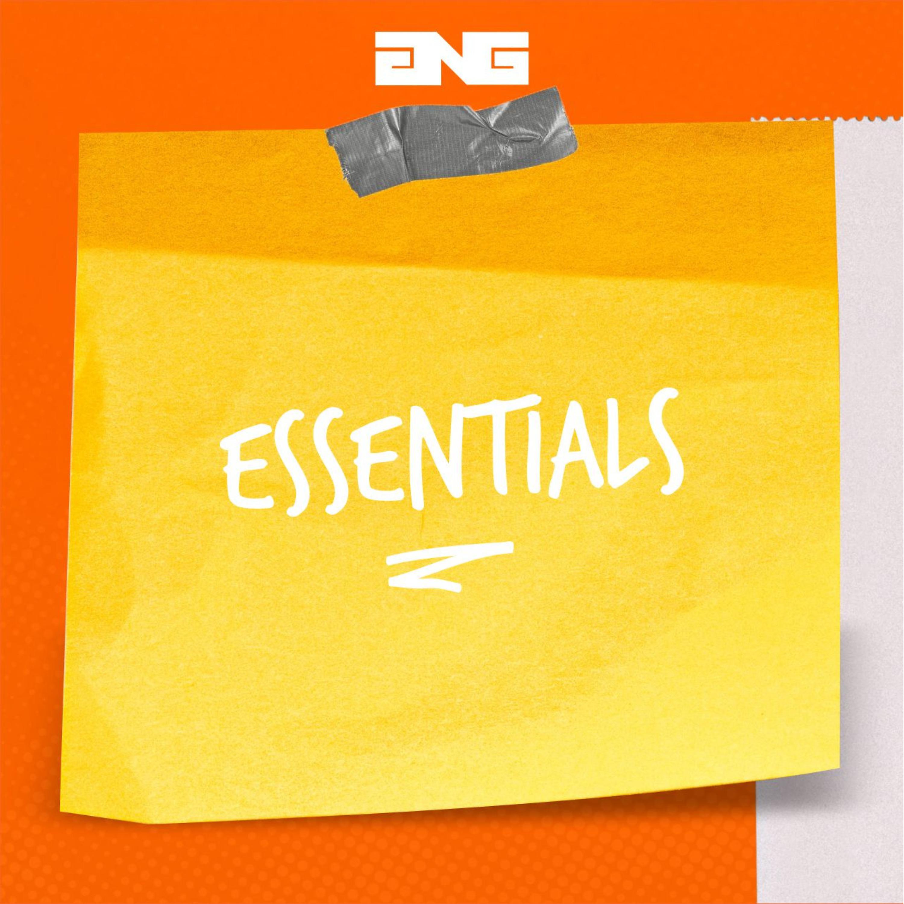 Постер альбома Essentials