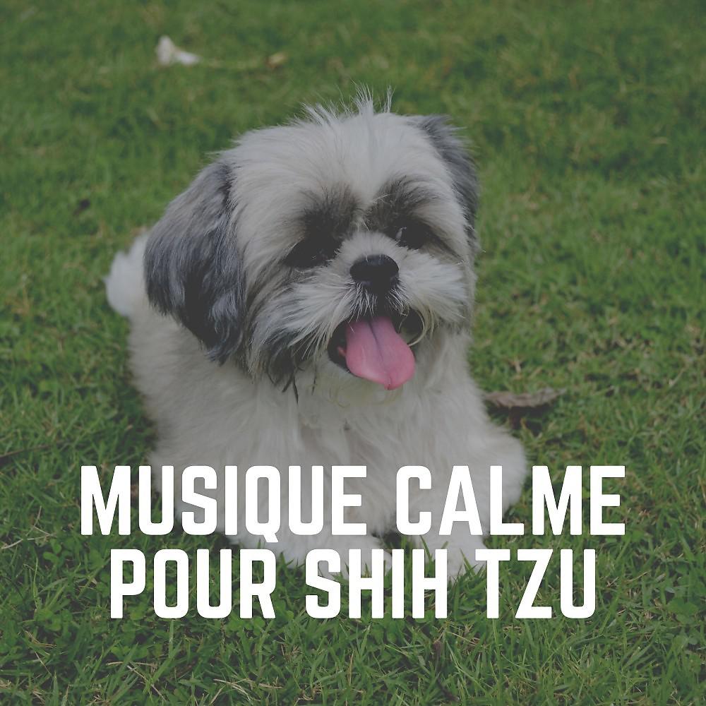 Постер альбома Musique Calme Pour Shih Tzu