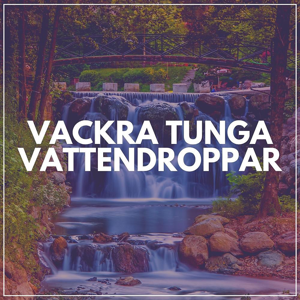 Постер альбома Vackra Tunga Vattendroppar