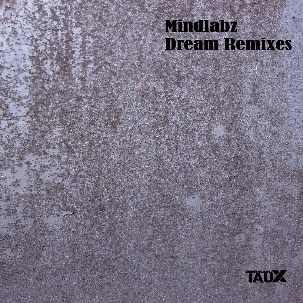 MindLabz - Dream (Dodgi Remix Vocal One Shot)