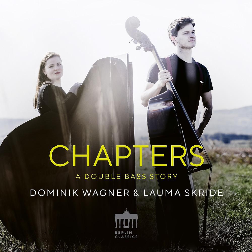 Постер альбома Chapters (A Double Bass Story)