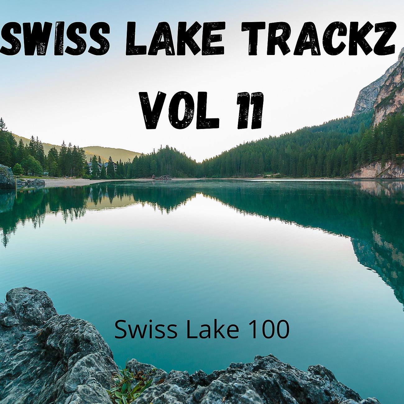 Постер альбома Swiss Lake Trackz Vol 11