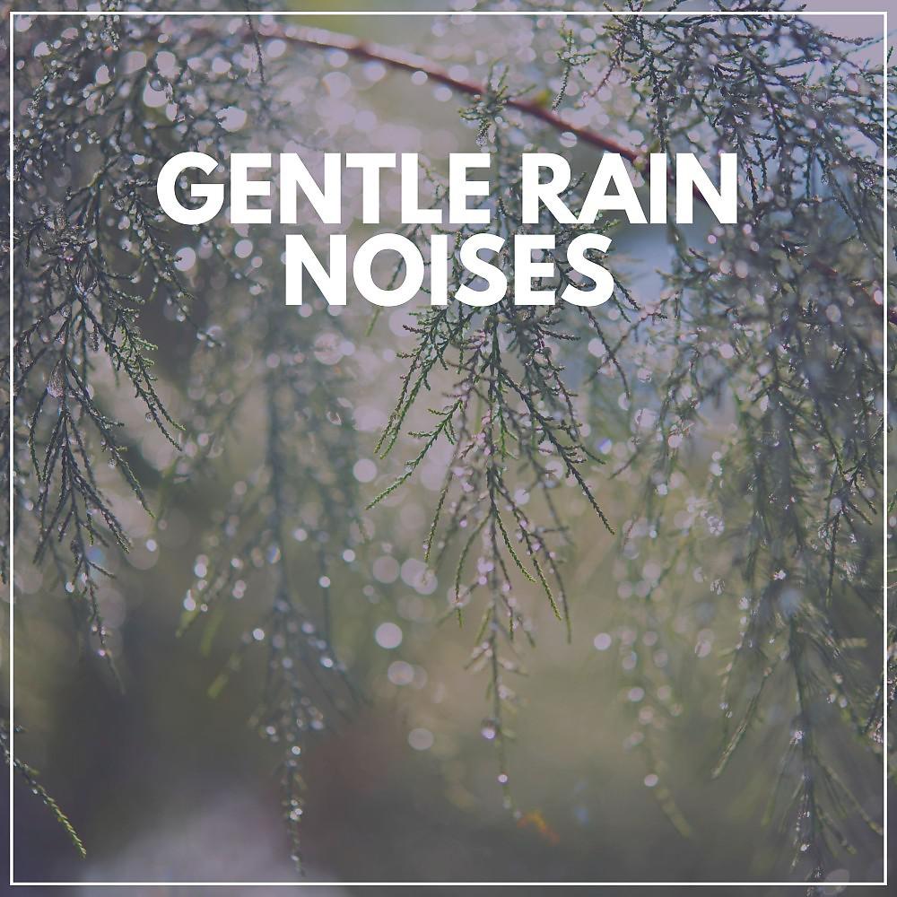 Постер альбома Gentle Rain Noises