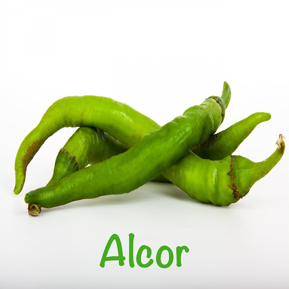 Постер альбома Alcor