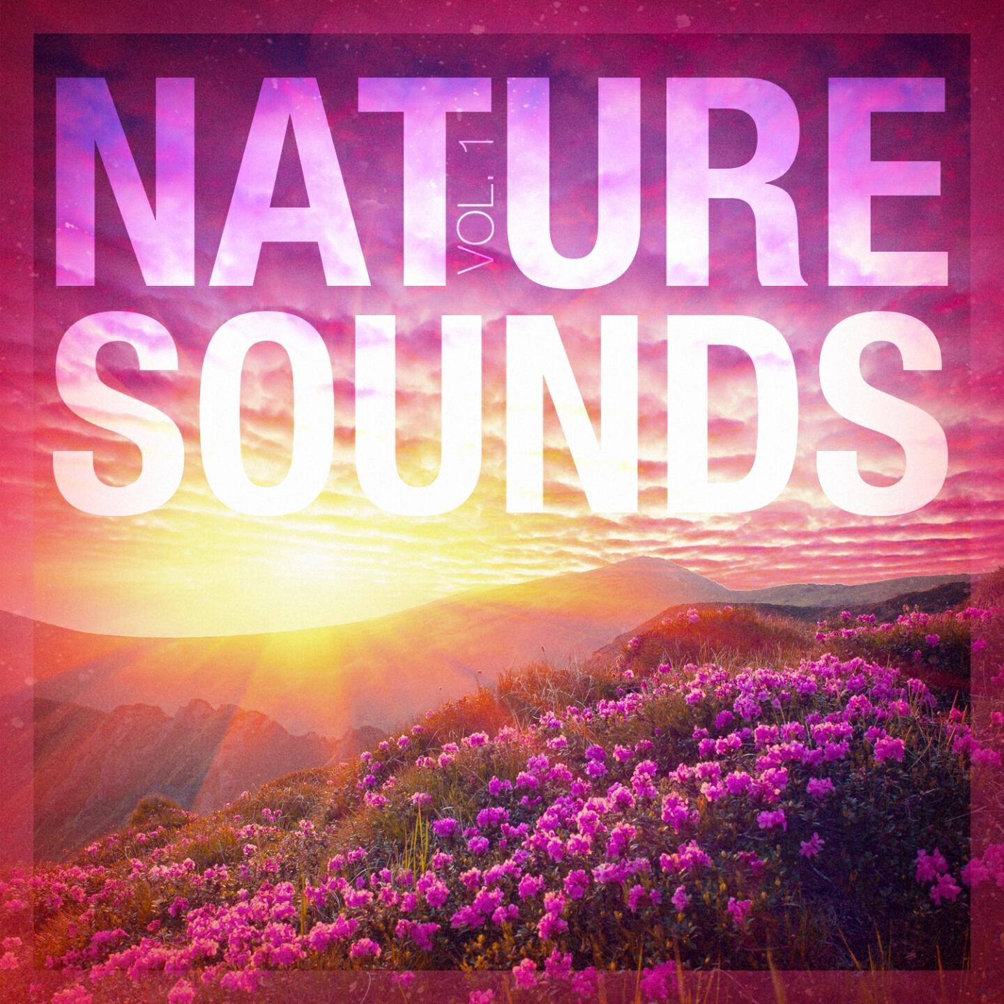 Sounds of Nature for Deep Sleep and Relaxation - Sounds from a Prairie: Crickets and Cowbells