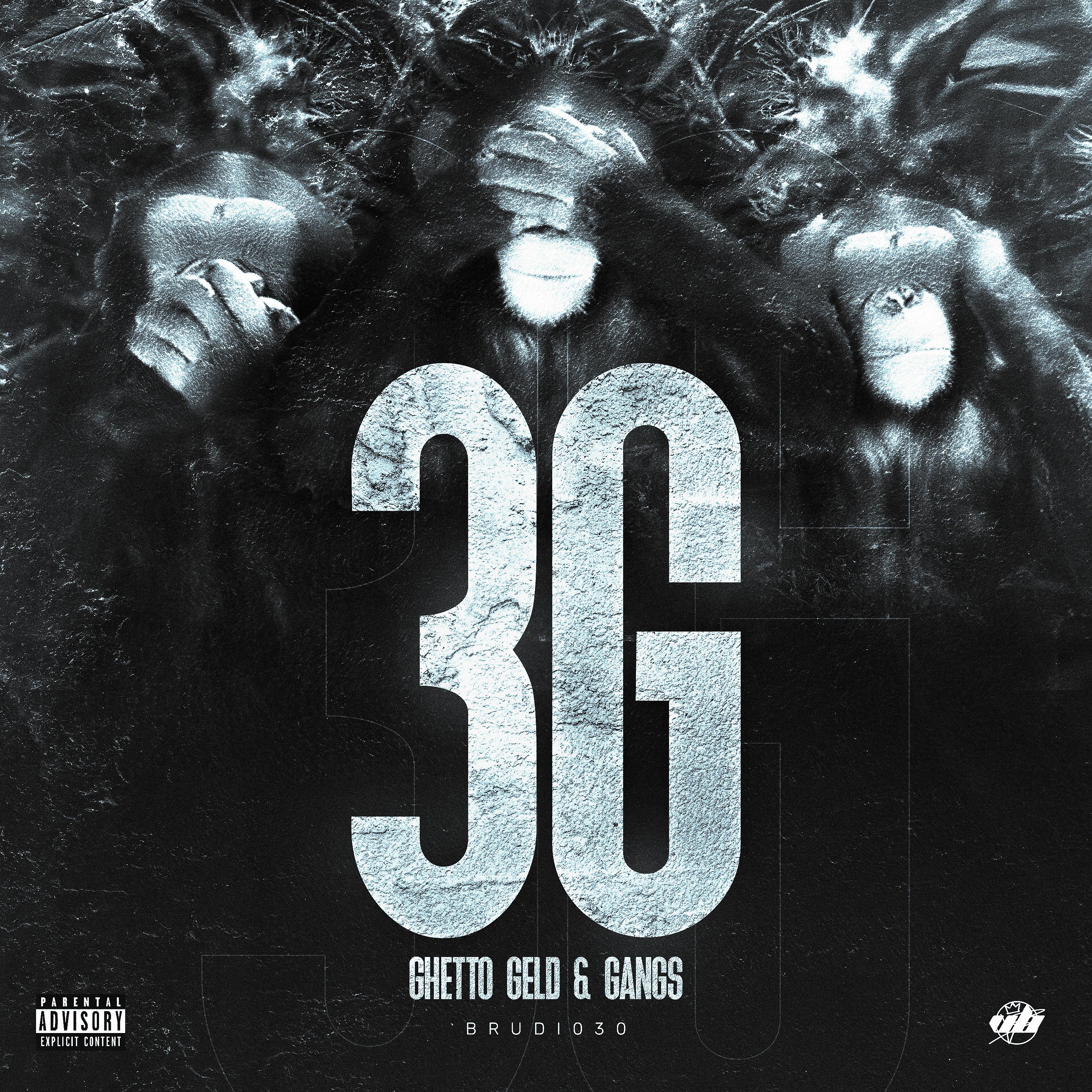 Постер альбома 3G - Ghetto Geld & Gangs