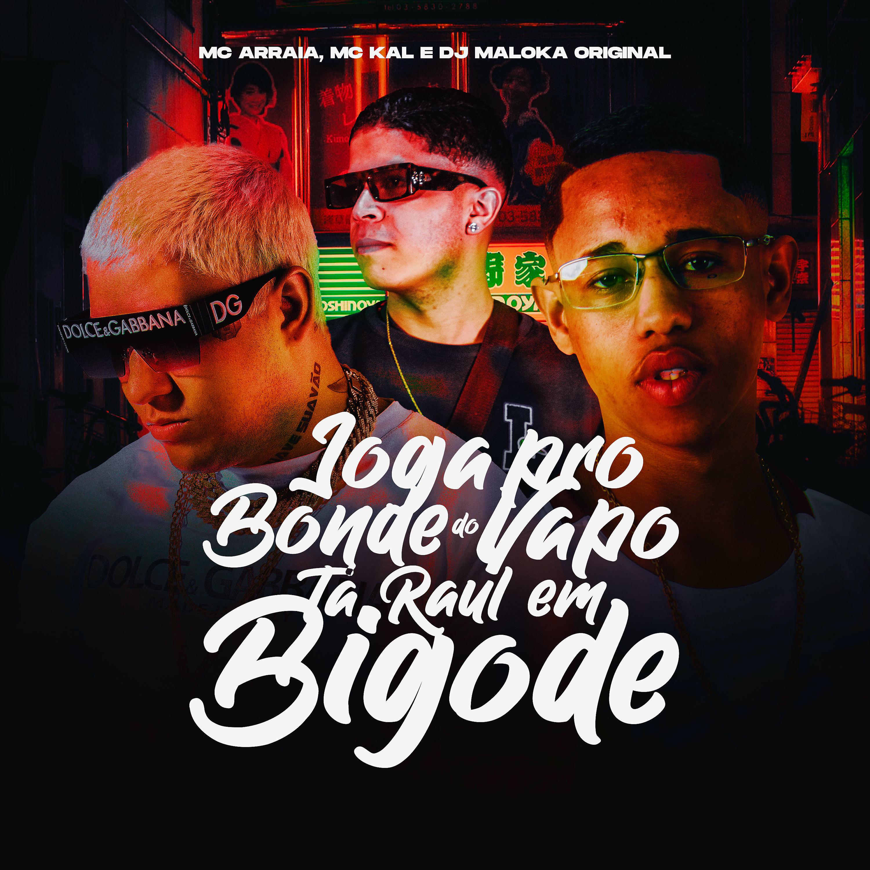 Постер альбома Joga Pro Bonde do Vapo Ta Raul Em Bigode