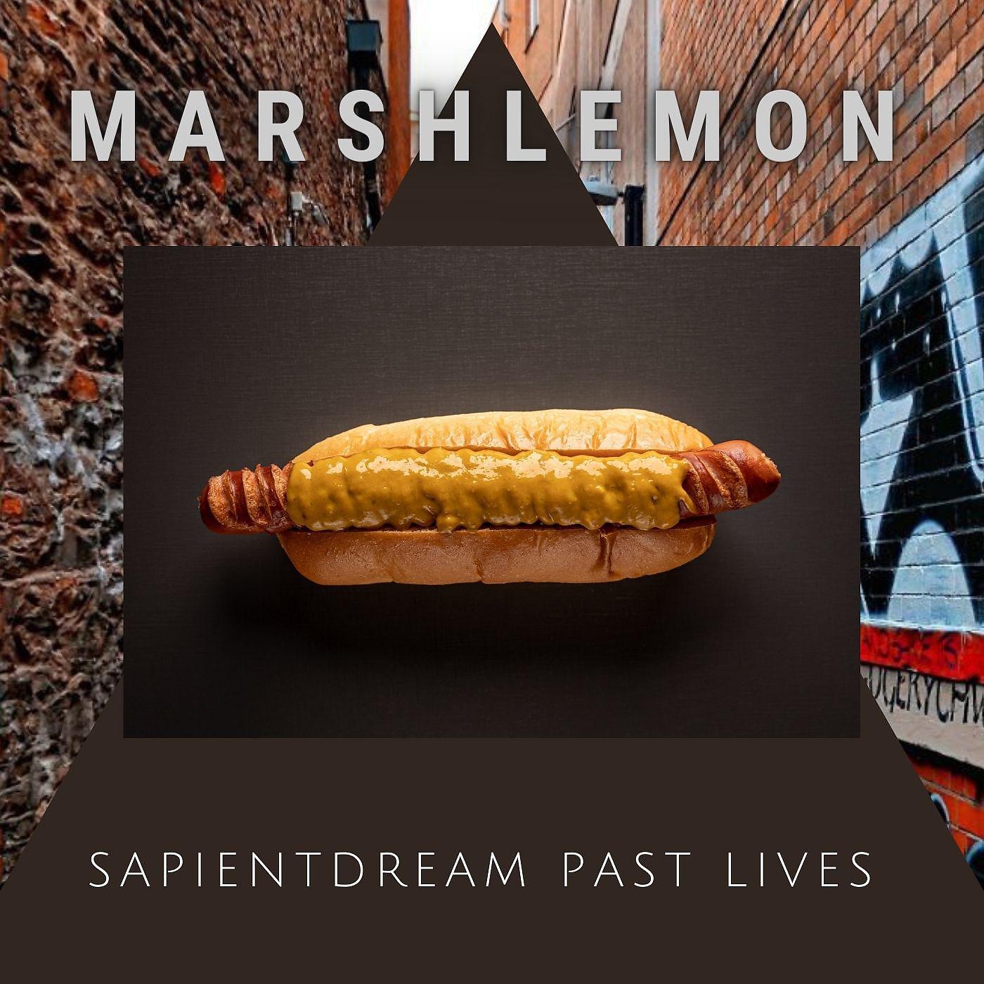 Постер альбома Sapientdream Past Lives