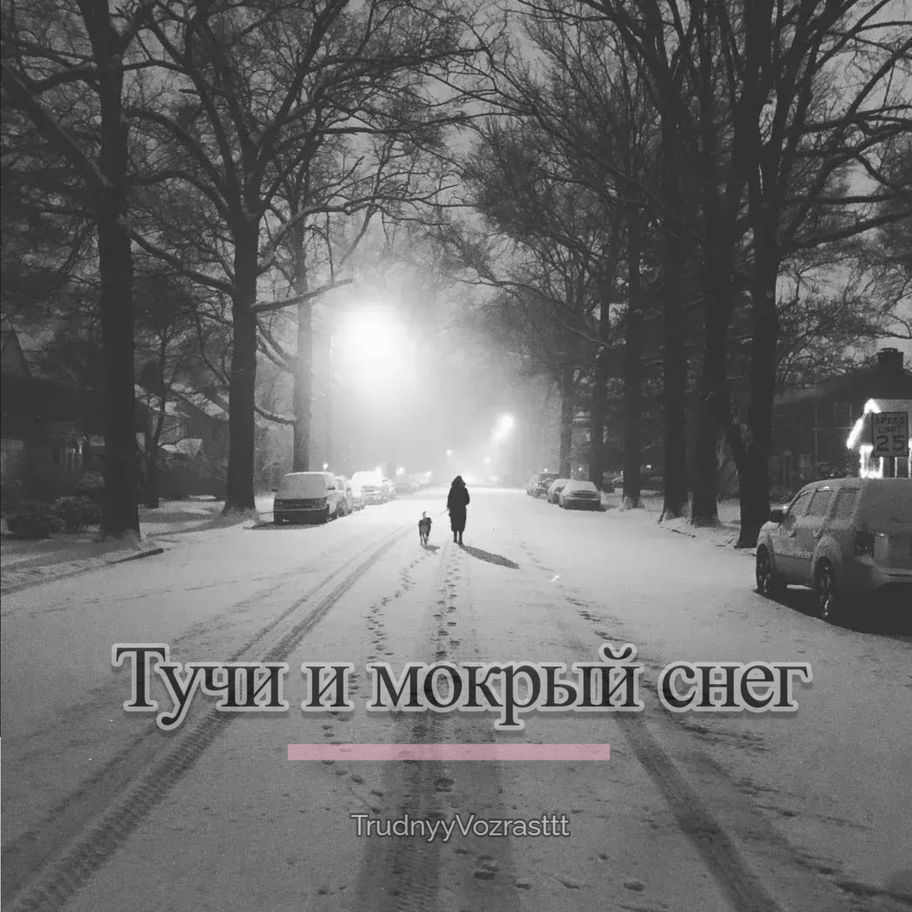 Постер альбома Тучи и мокрый снег