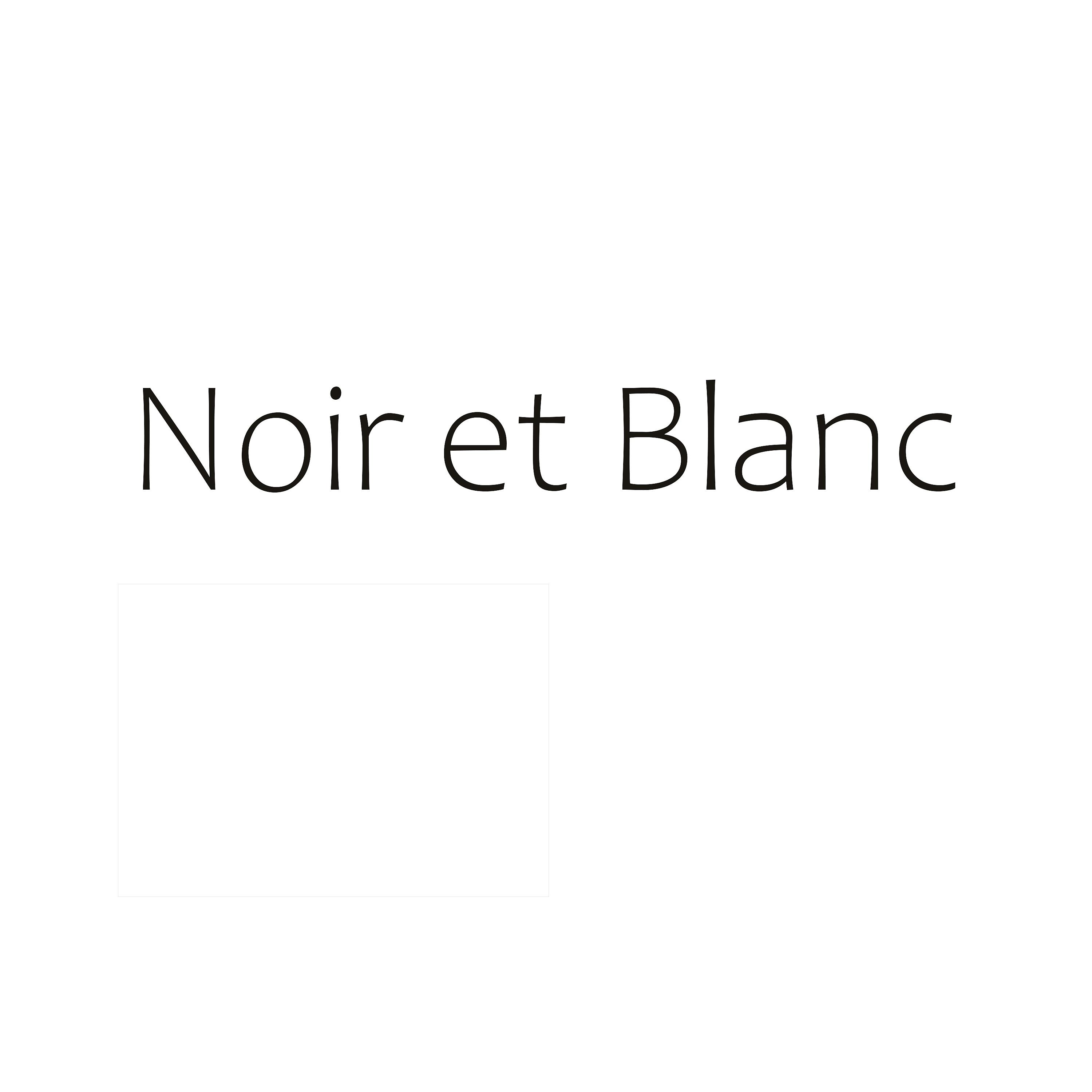 Постер альбома Noir Et Blanc