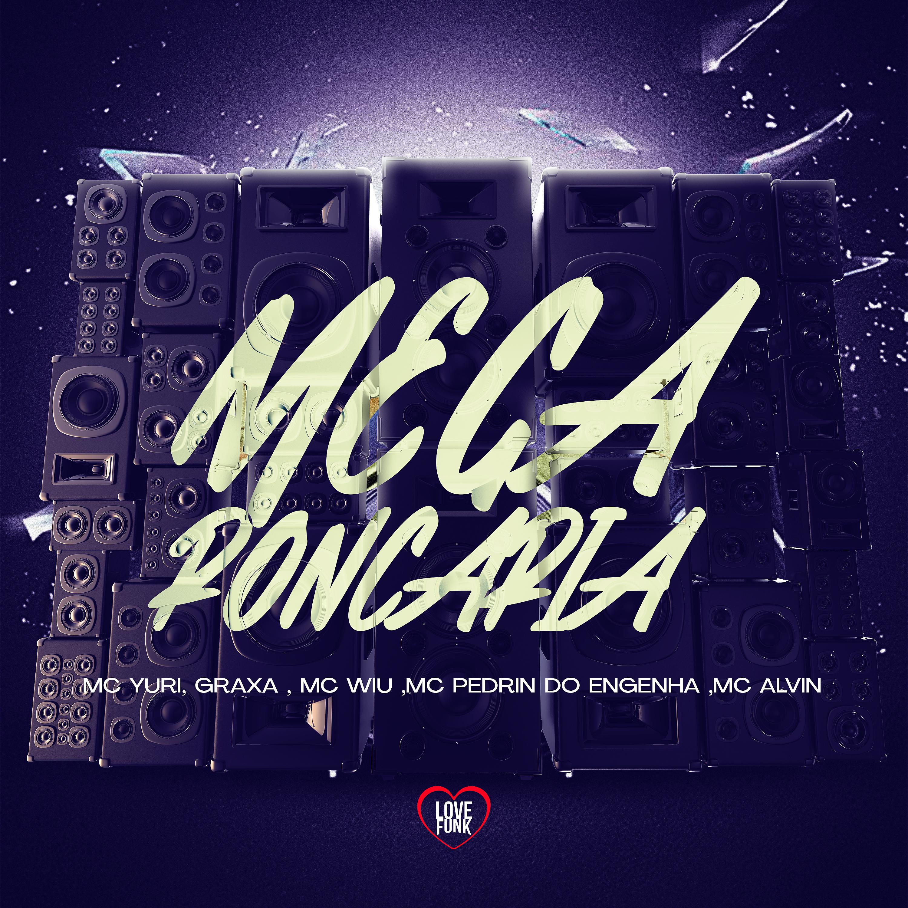 Постер альбома Mega Roncaria