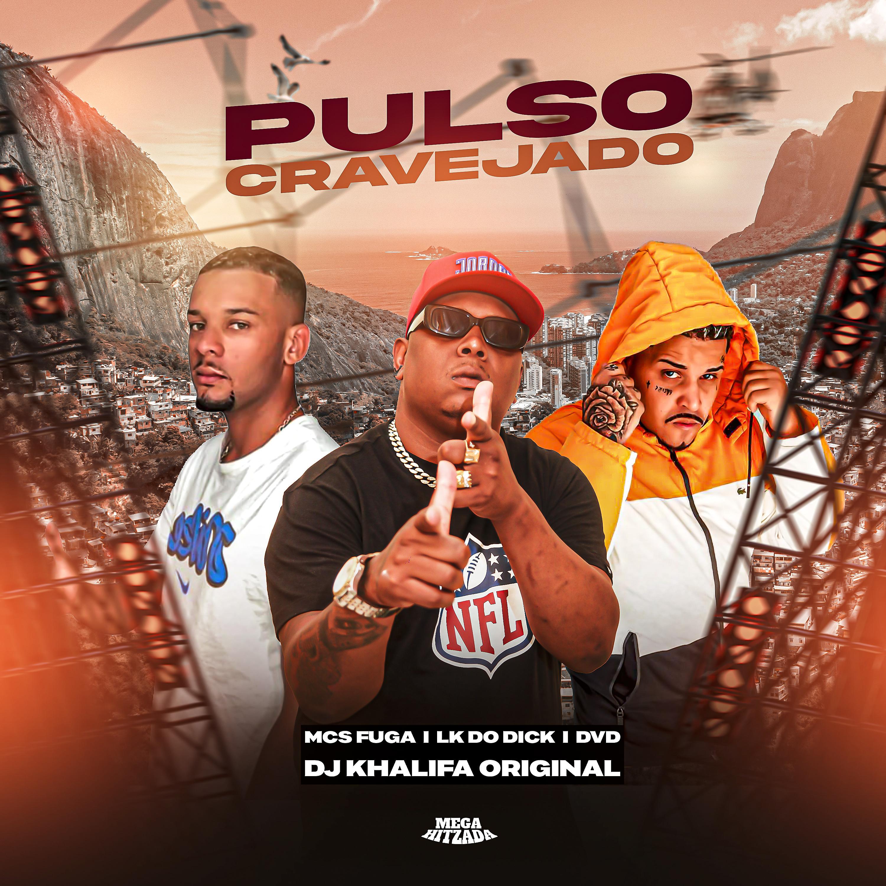 Постер альбома Pulso Cravejado