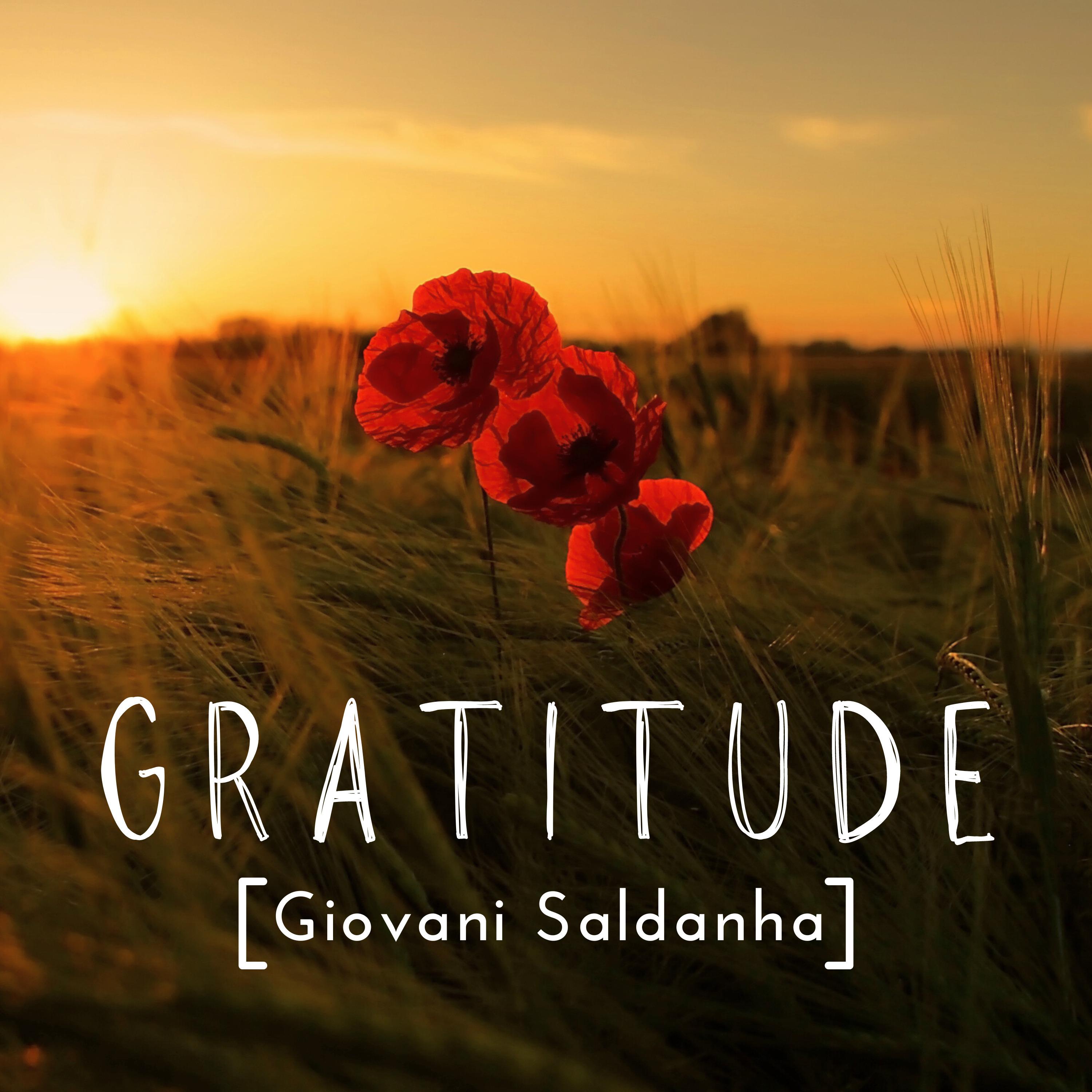 Постер альбома Gratitude