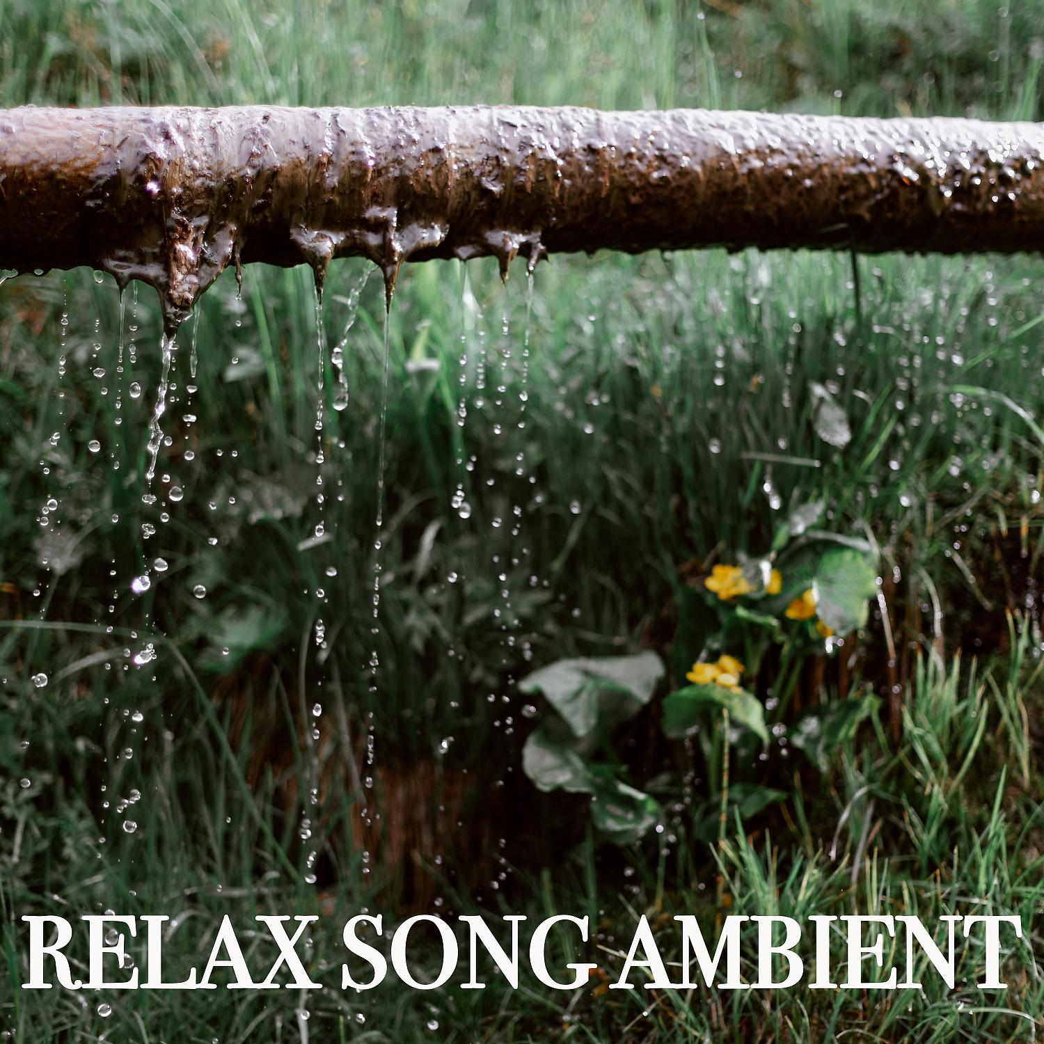 Постер альбома Relax Song Ambient