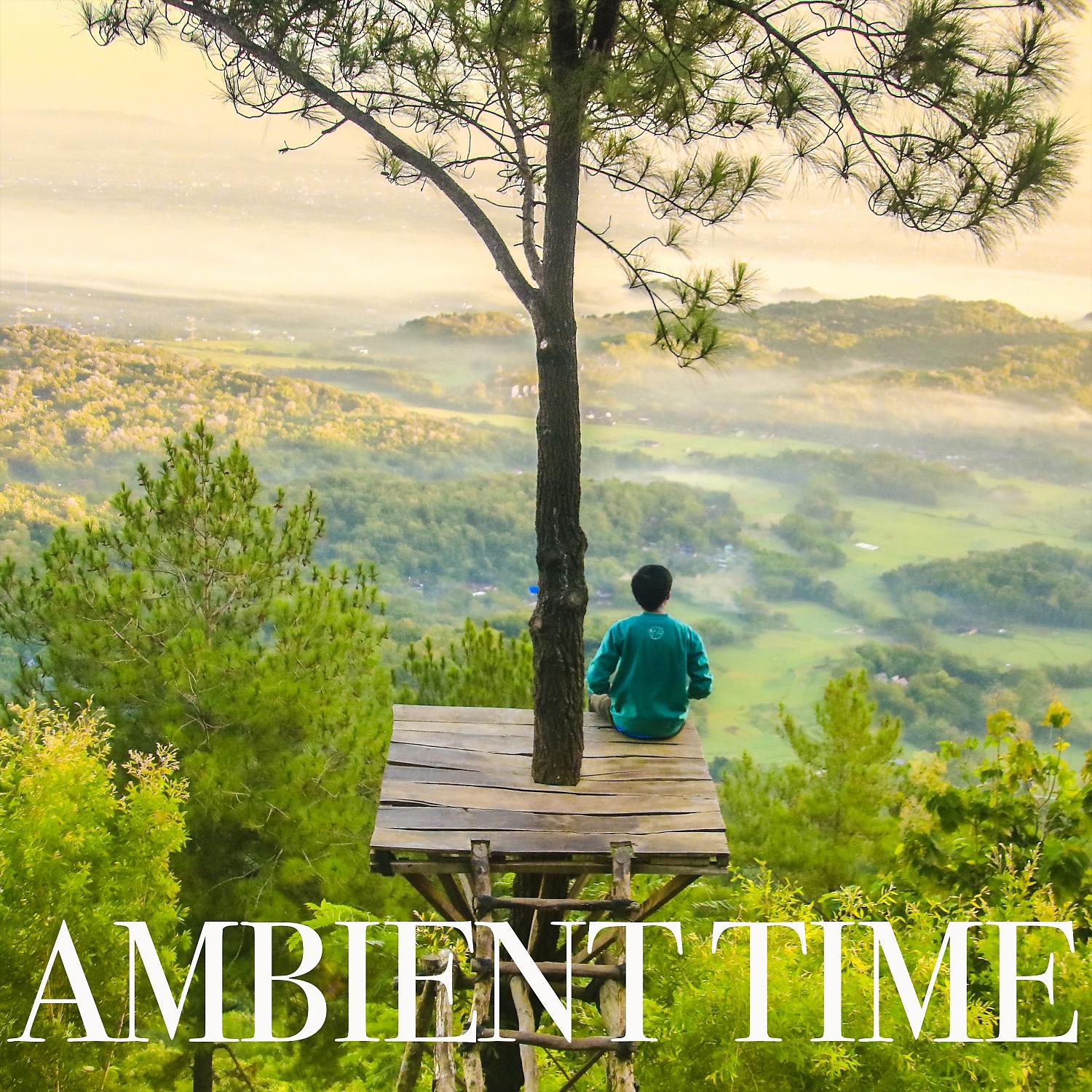 Постер альбома Ambient Time