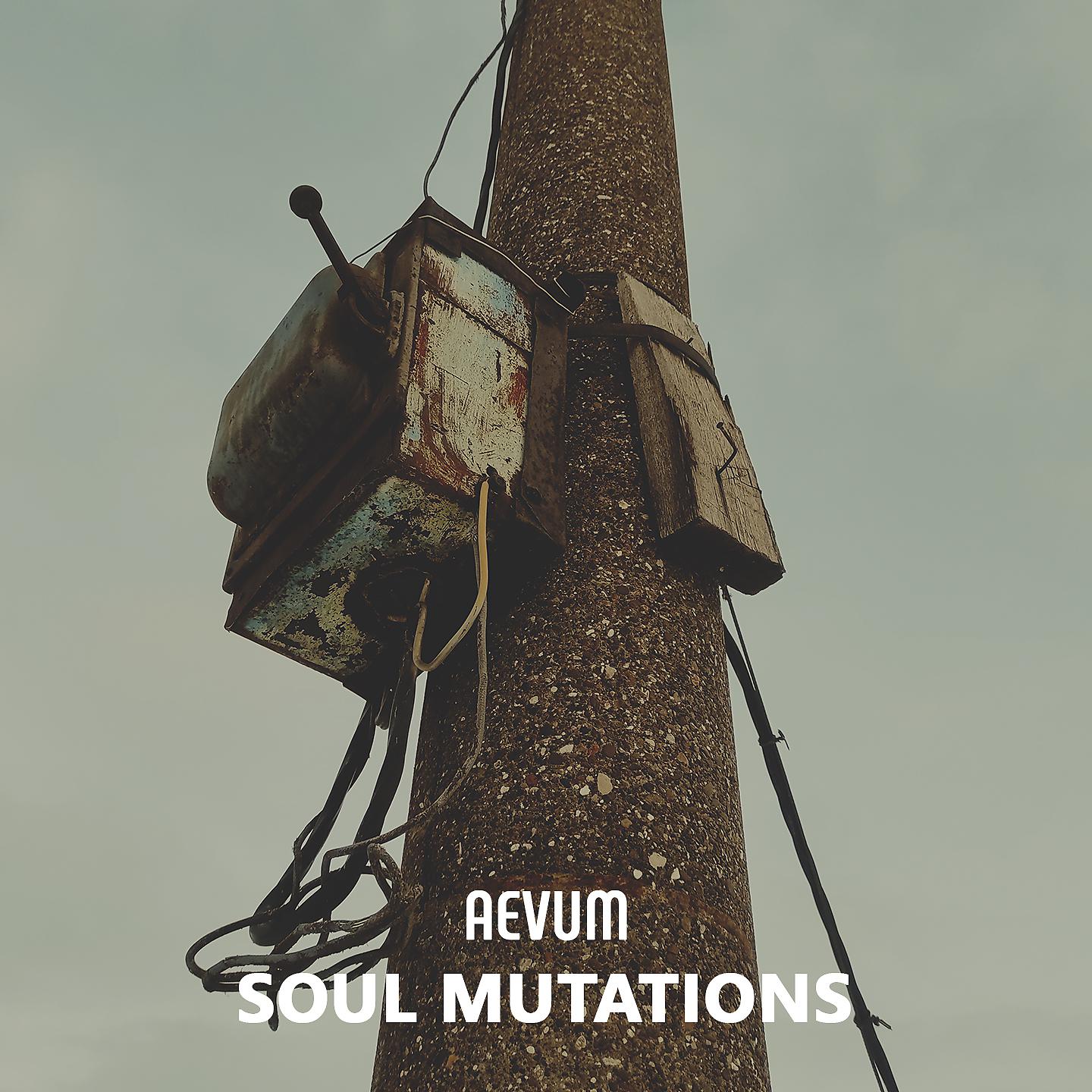 Постер альбома Soul Mutations